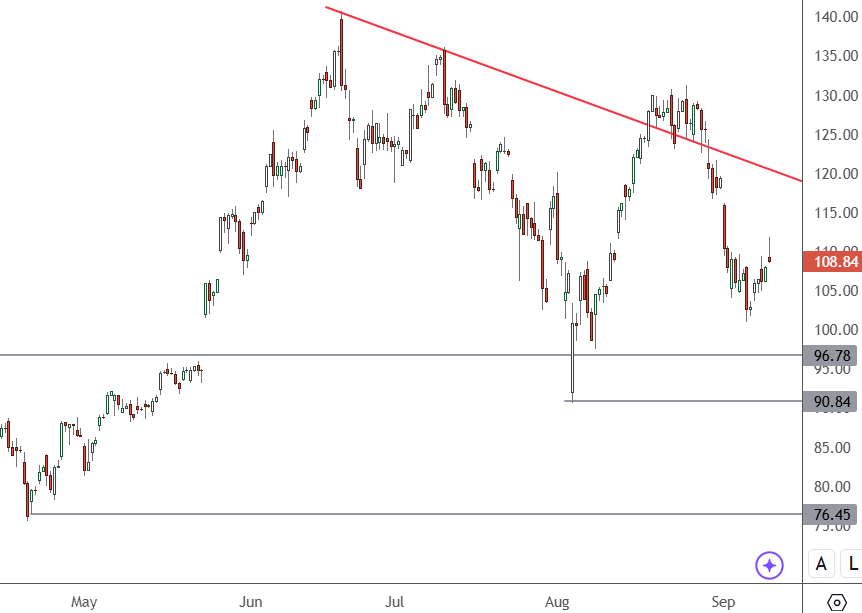 엔비디아 주가 리스크 분석