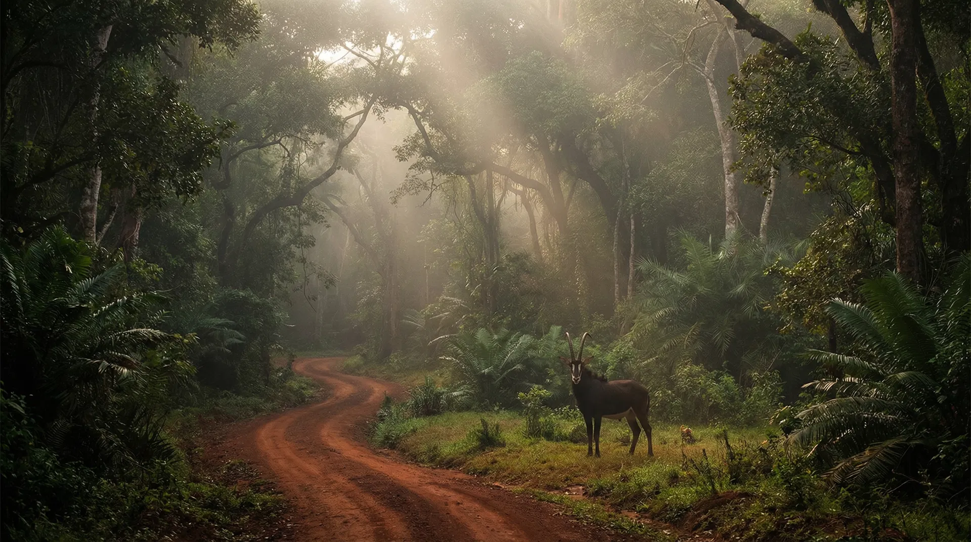 Shimba Hills & Wild Nature