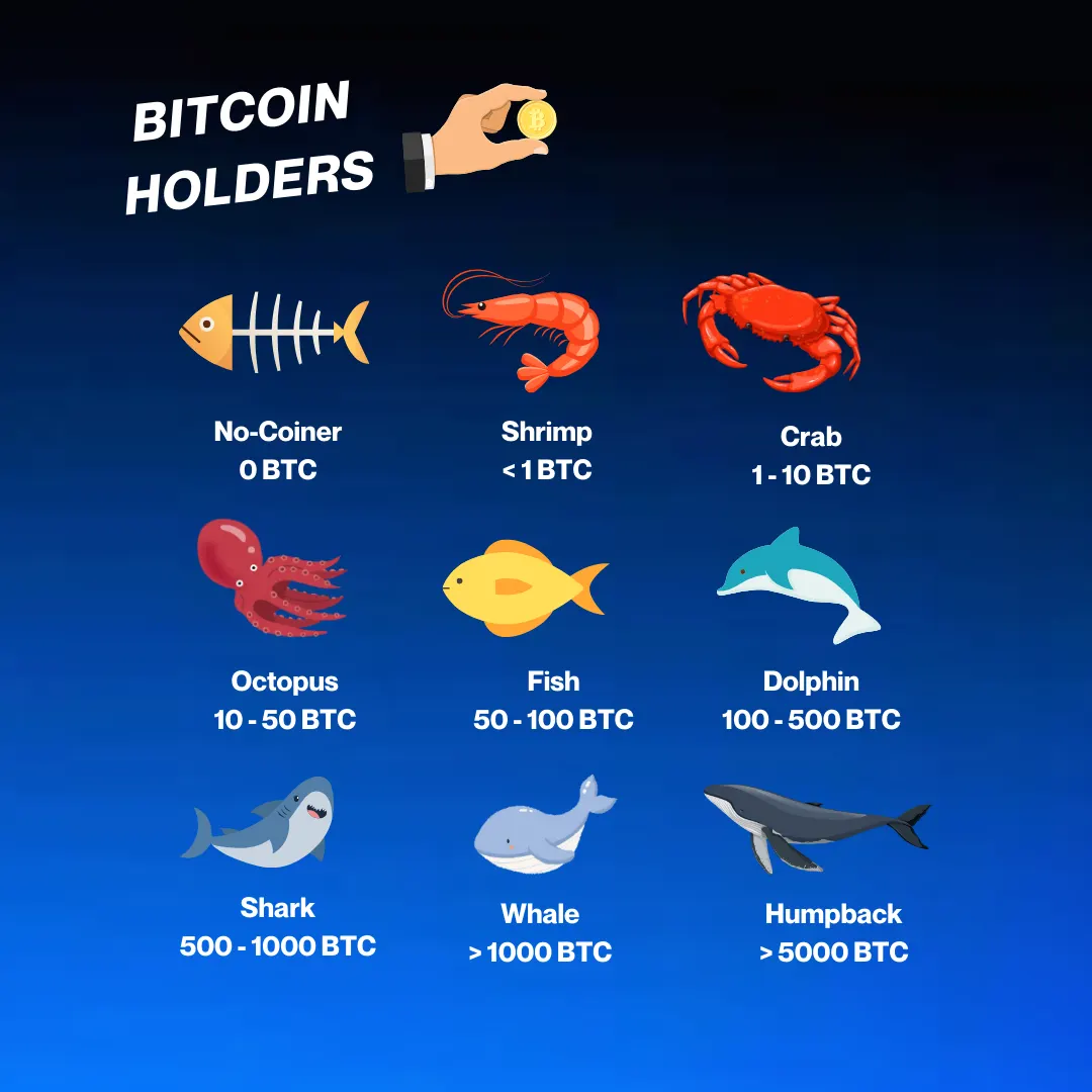 Crypto Whale Categories