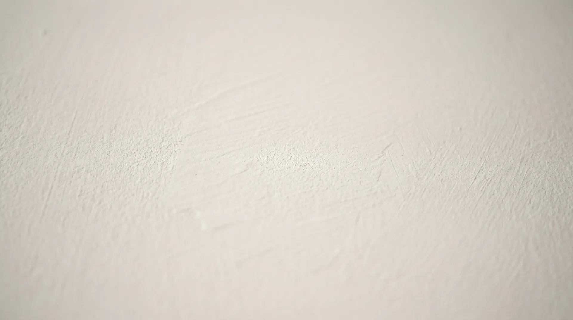 Cloud Veil Texture Detail Close-up texture of NIVELO Plaster Primer in Cloud Veil showing sheen finish and coverage