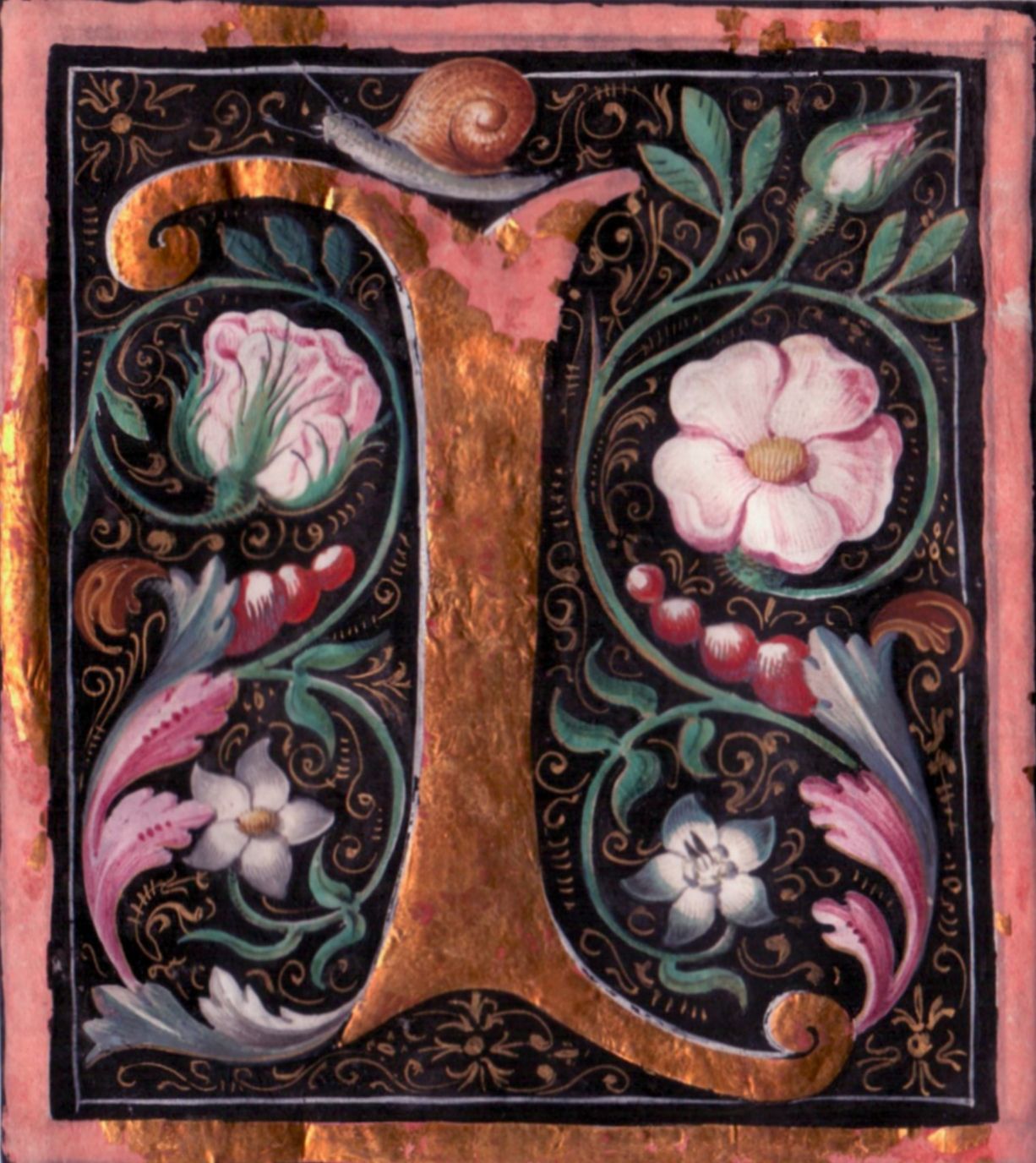 Illuminated Manuscript Initial Letter