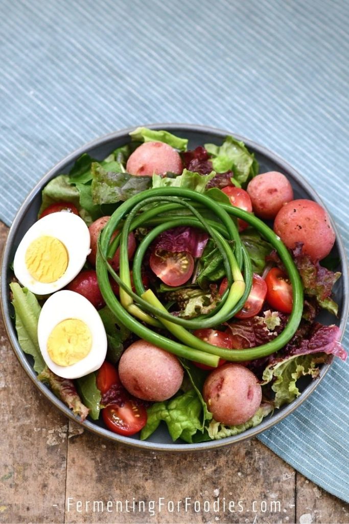 Fermented Vegetable Salad