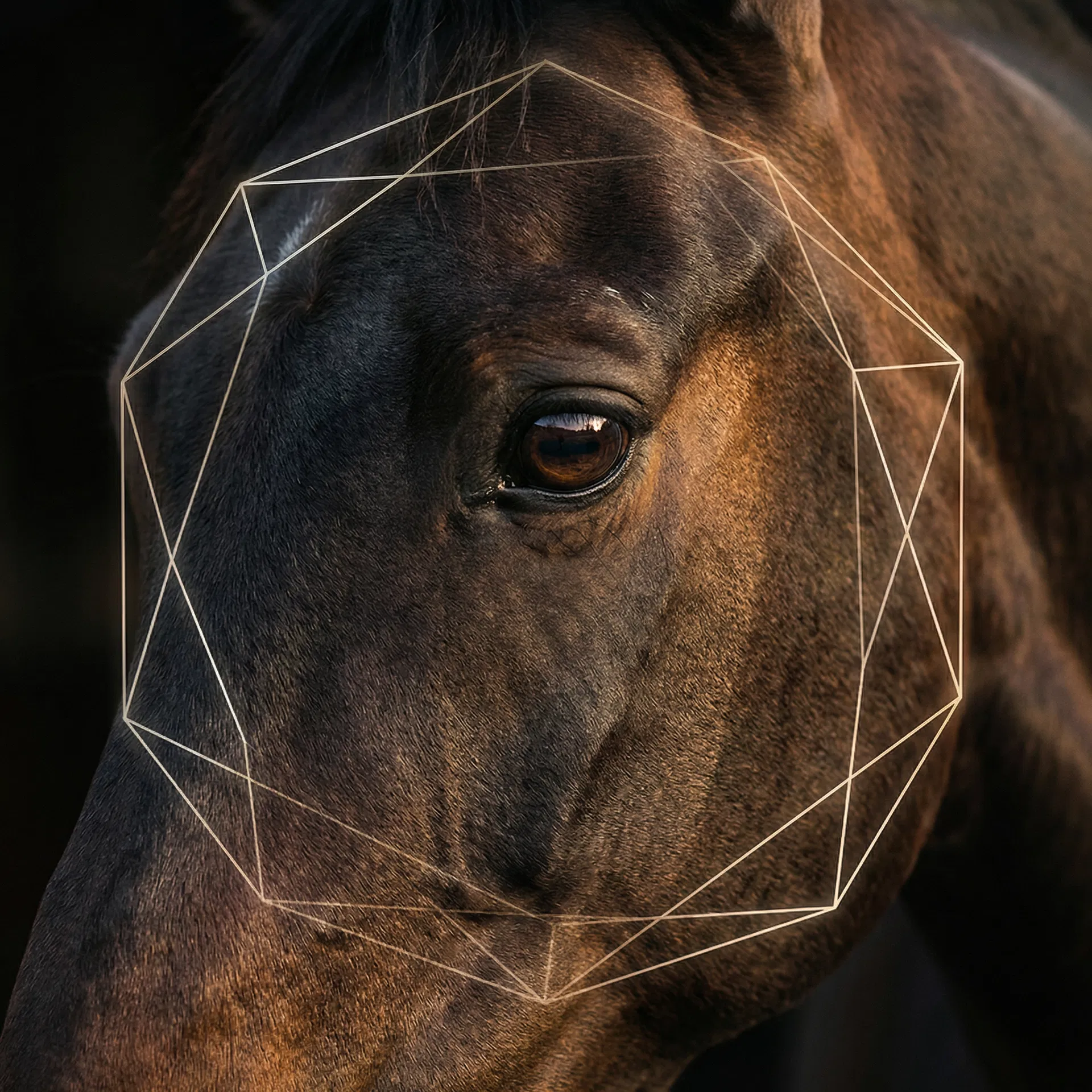 Cheval avec overlay géométrique