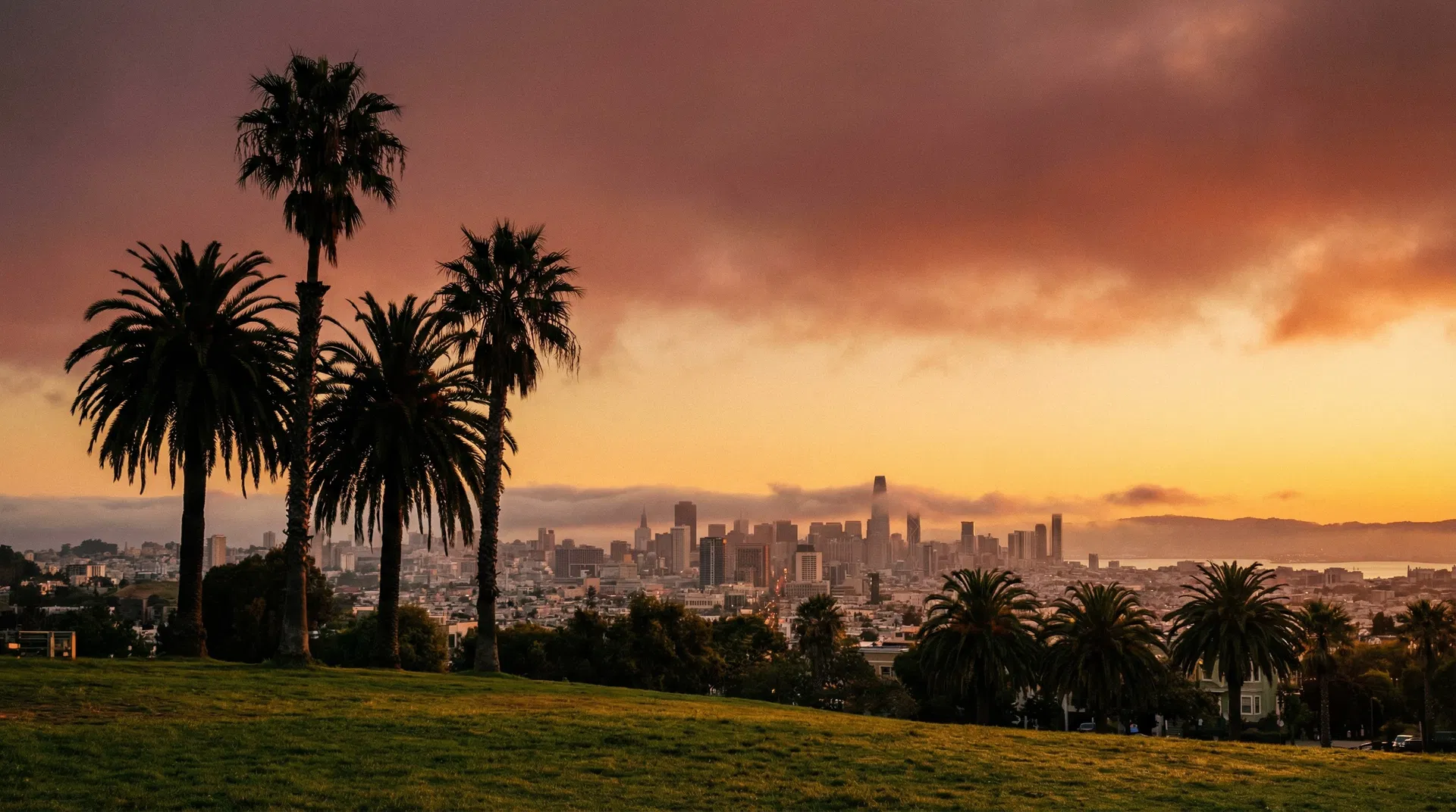Dolores Park at sunset with palm trees and city skyline