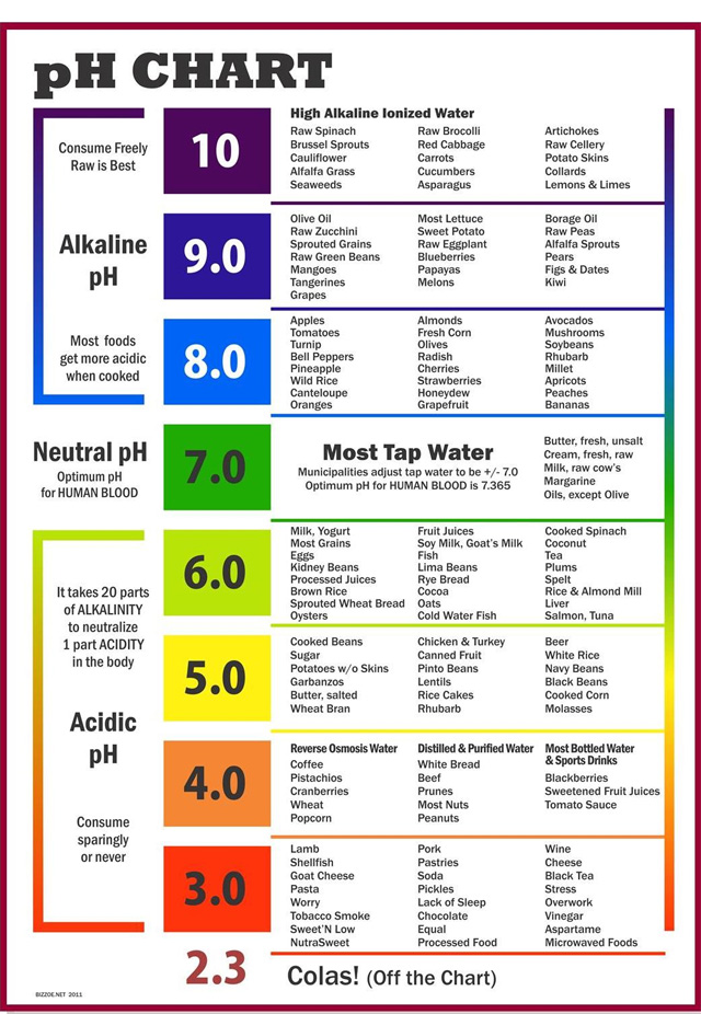 Tabela de pH de alimentos e bebidas comuns