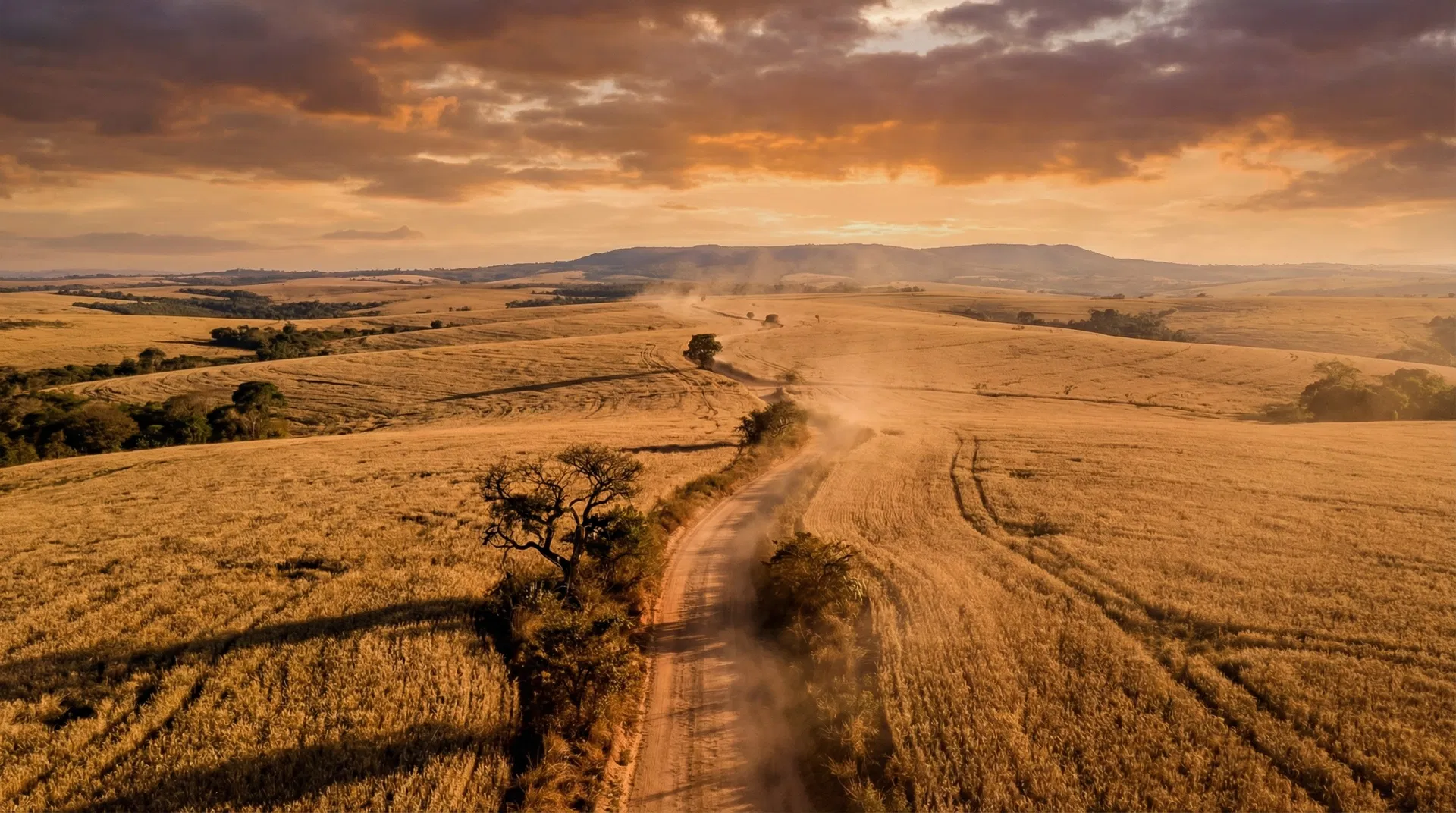 Campos agrícolas ao pôr do sol