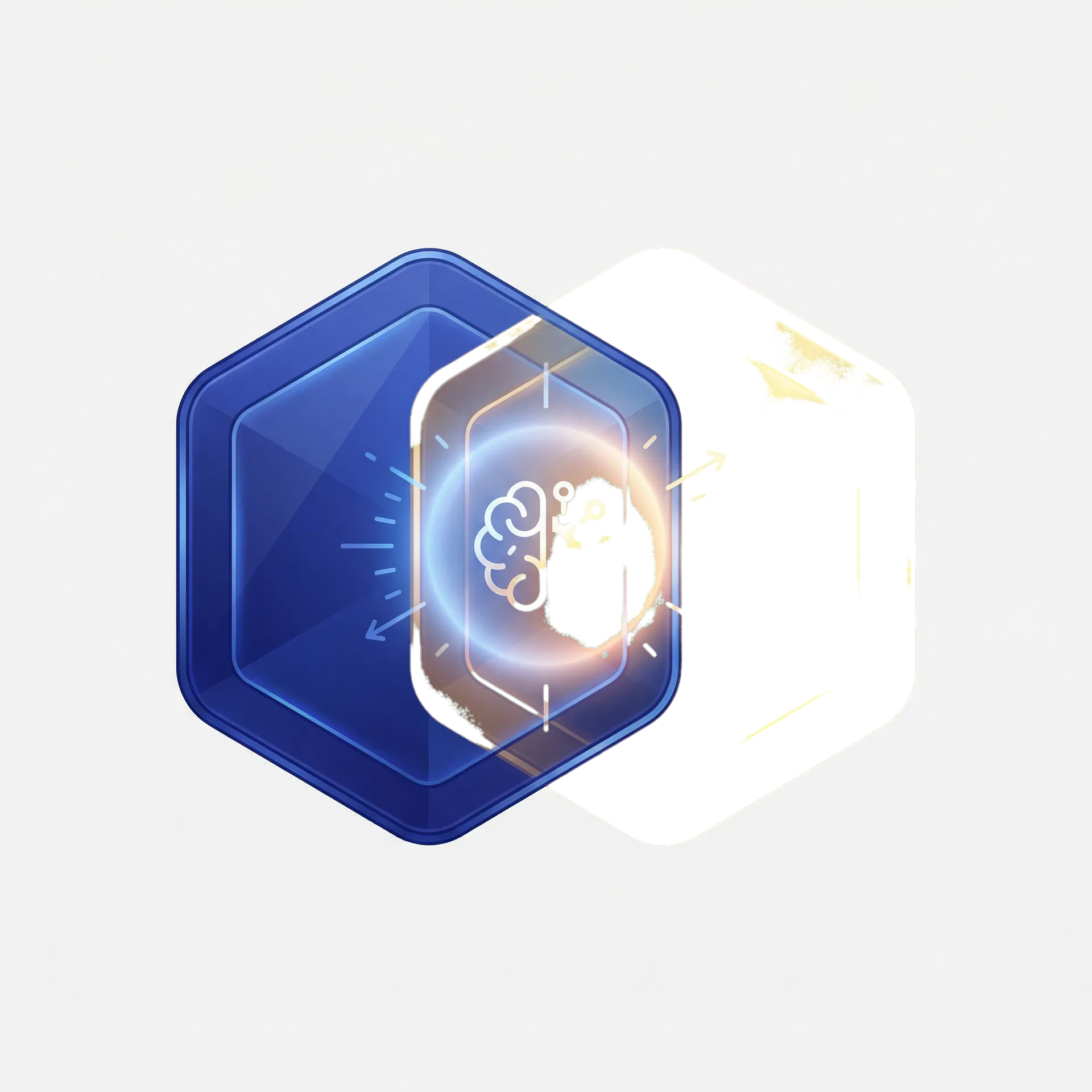 Joint Collaborative Audit