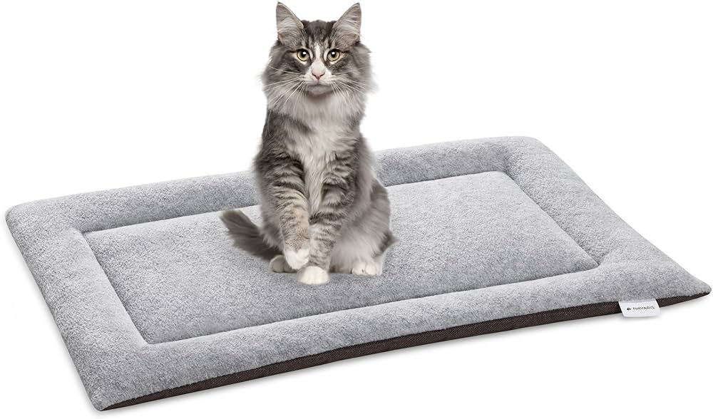 Verschillende soorten kattenkussens