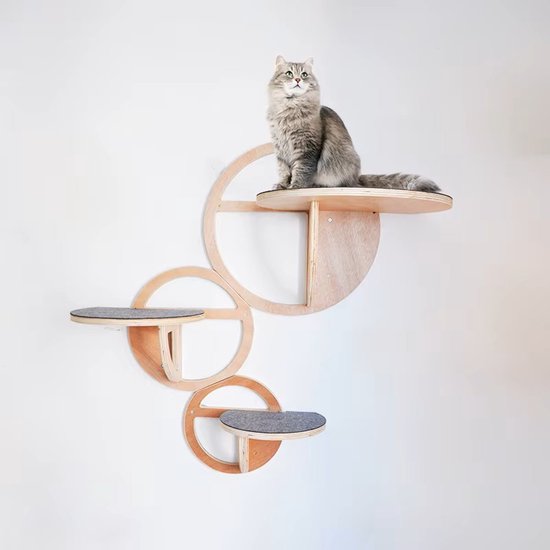 Moderne klimwand voor katten