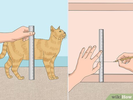 Een kat die door een kattenluik in een deur kijkt