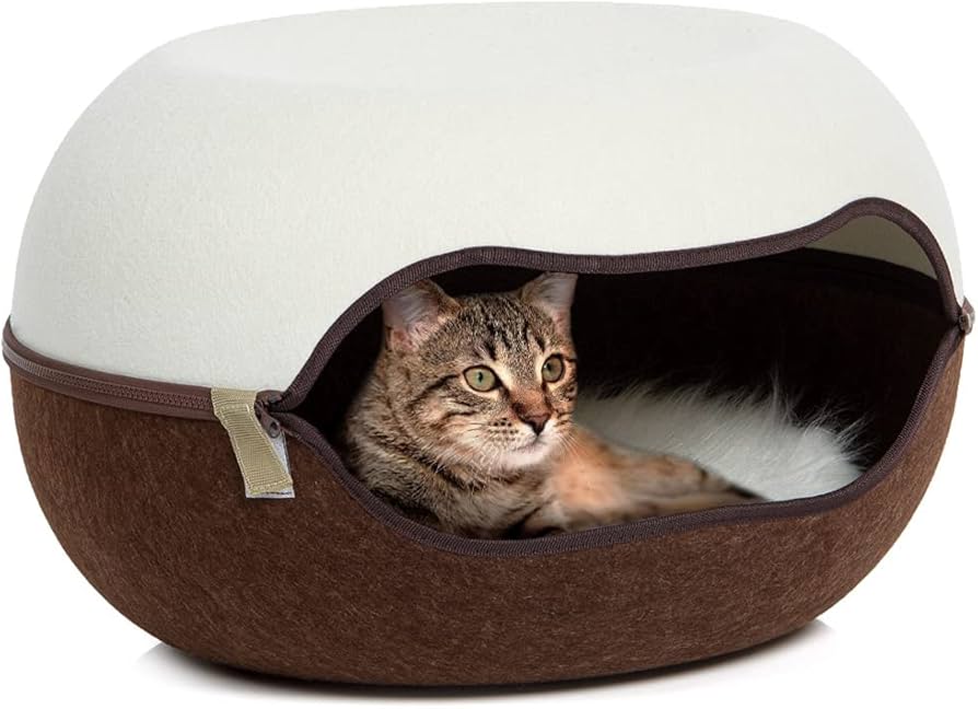 Knusse kattenmand