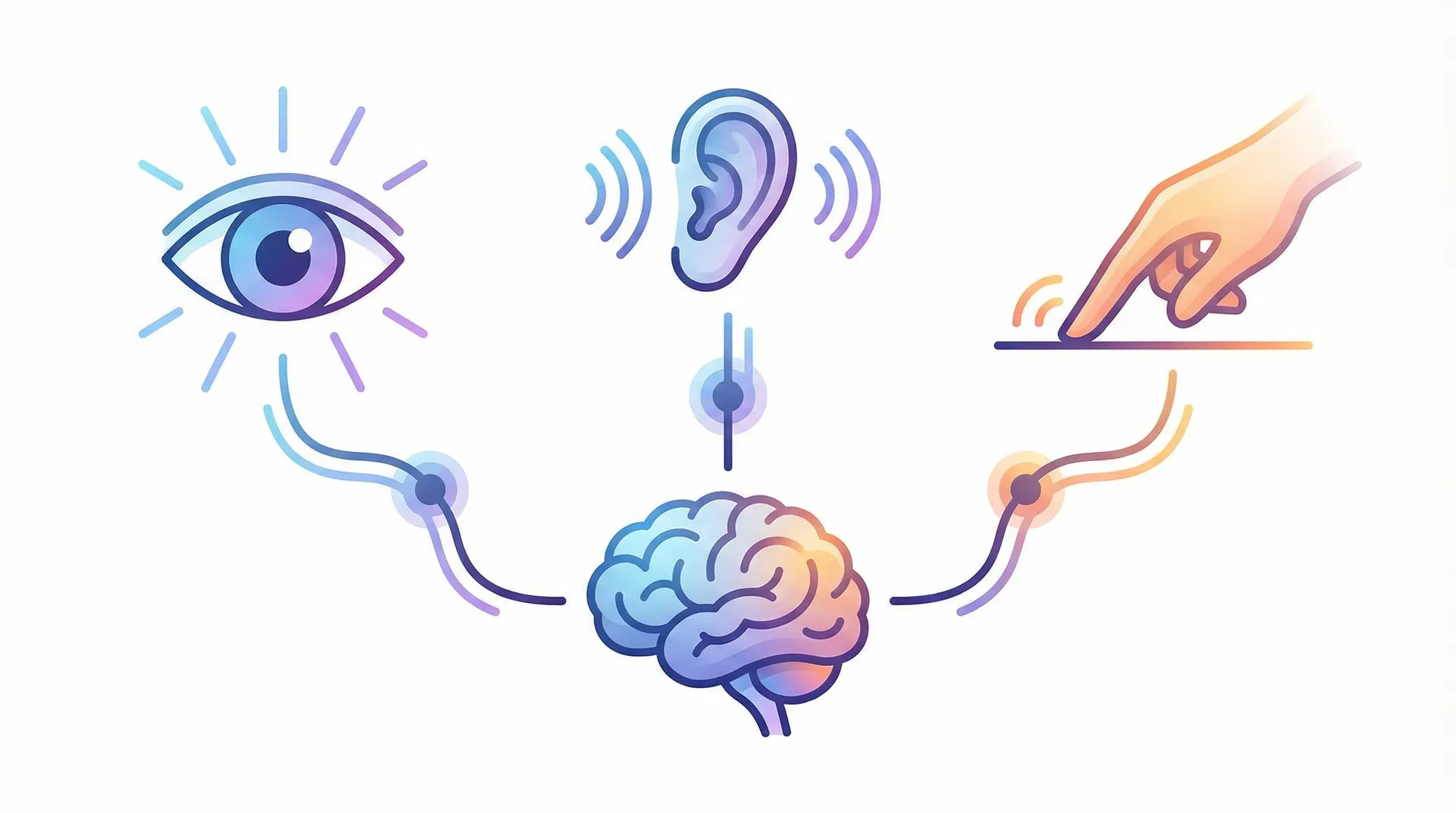 Sistemas Representacionais: Entendendo Como Seu Cerebro Processa Informacoes
