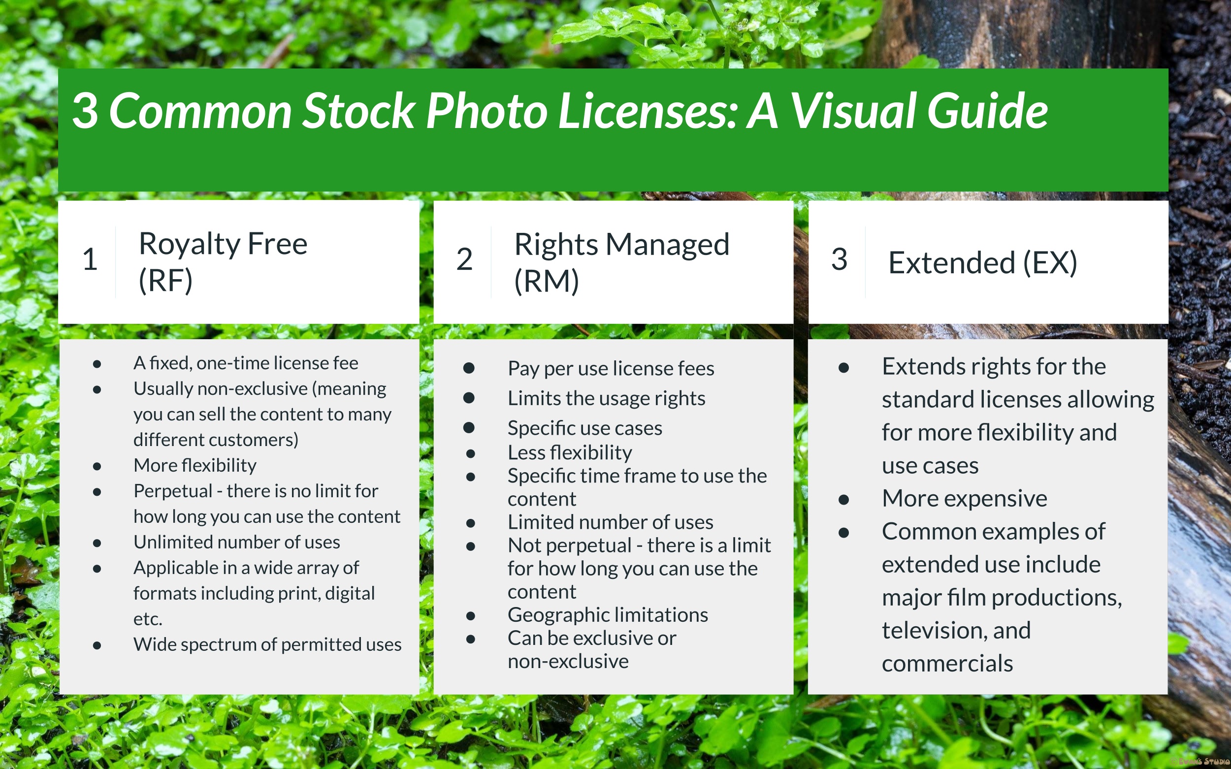 Infographic comparing Royalty Free vs Rights Managed licenses