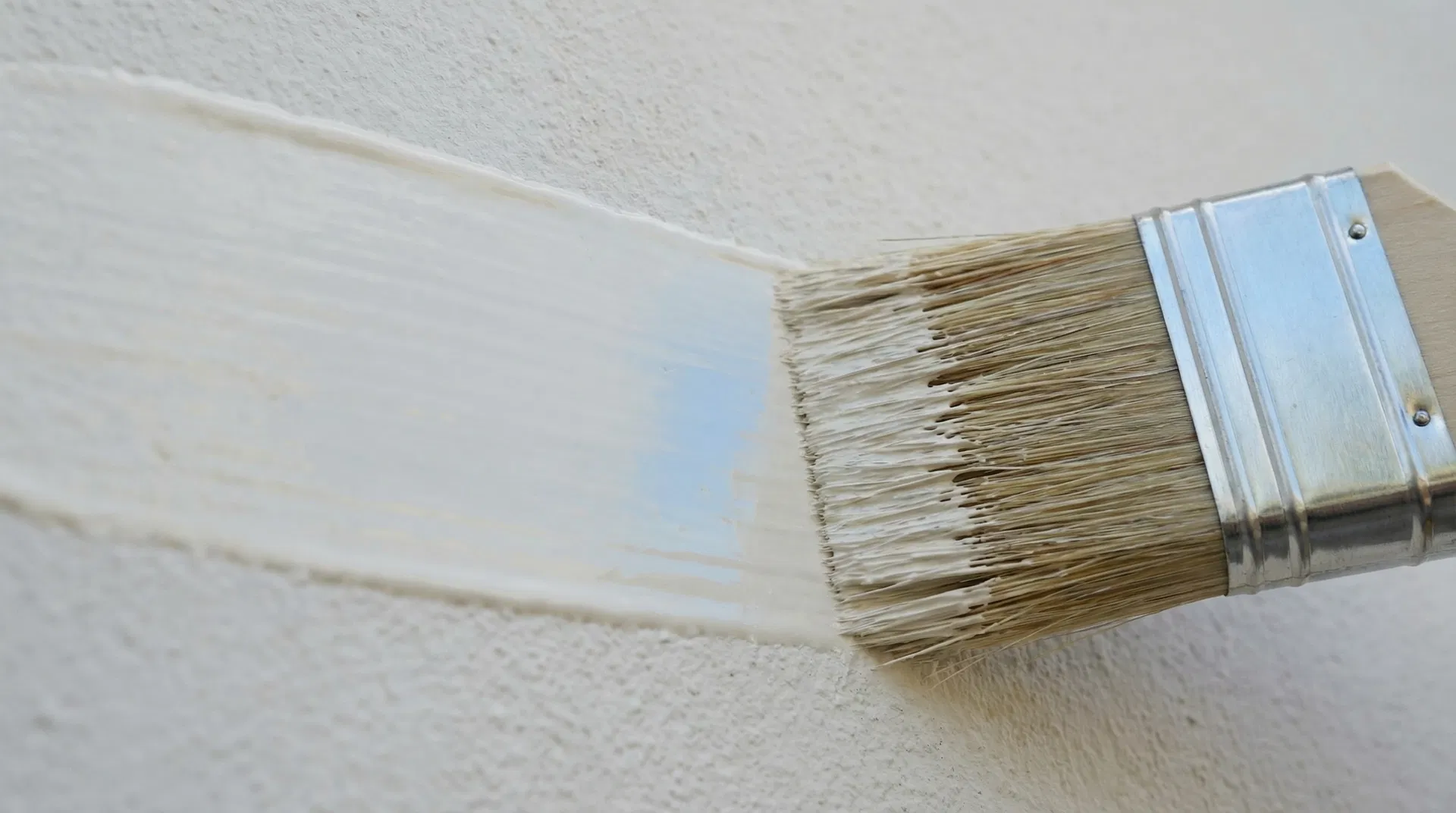 Close-up Pinsel auf Fassade – fachgerechte Aussenbeschichtungen AVNI AG