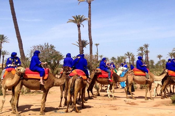 Sunset Camel Ride in Palmeraie Marrakech