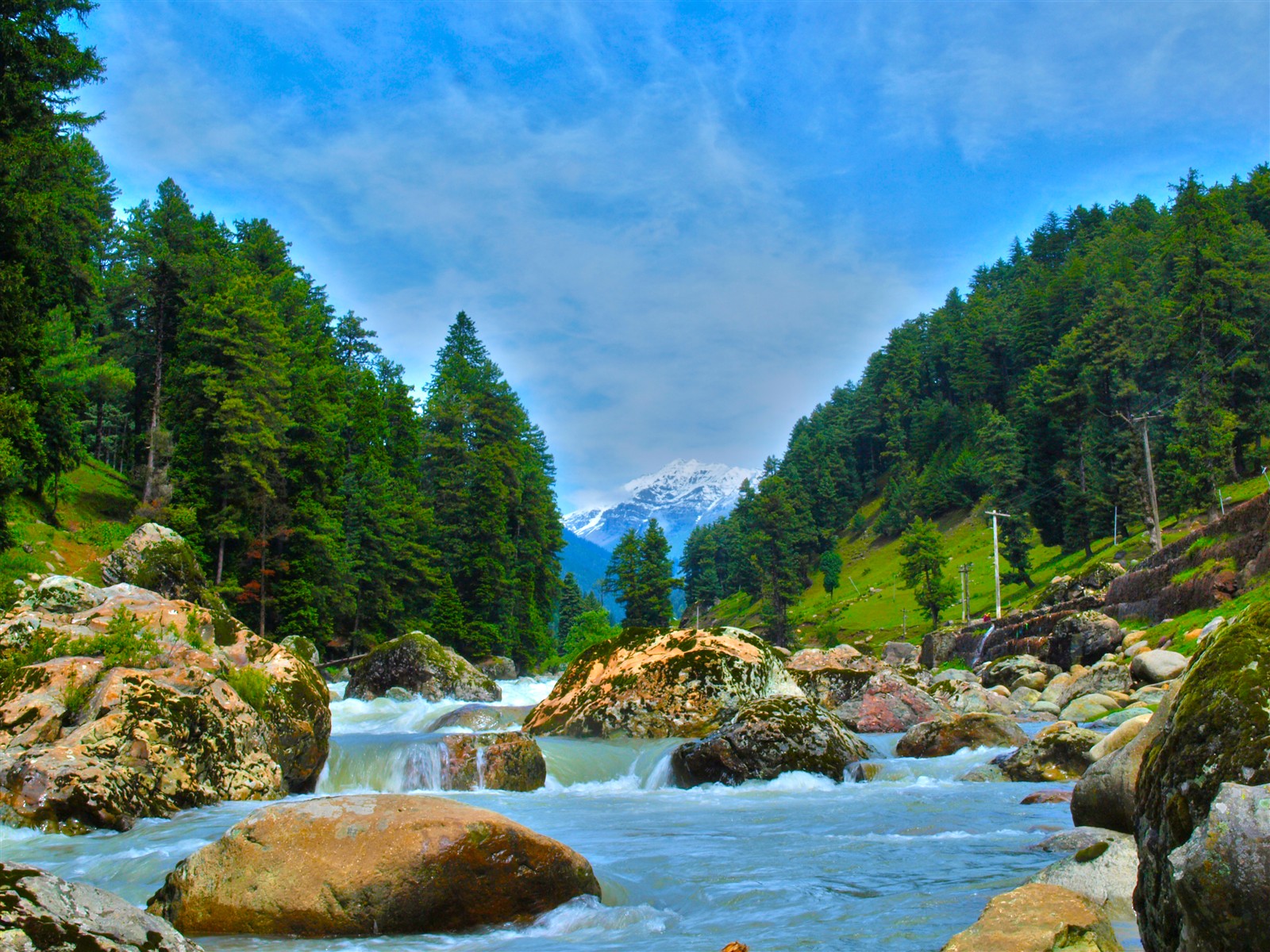 Kashmir Valley with lush greenery and mountains.