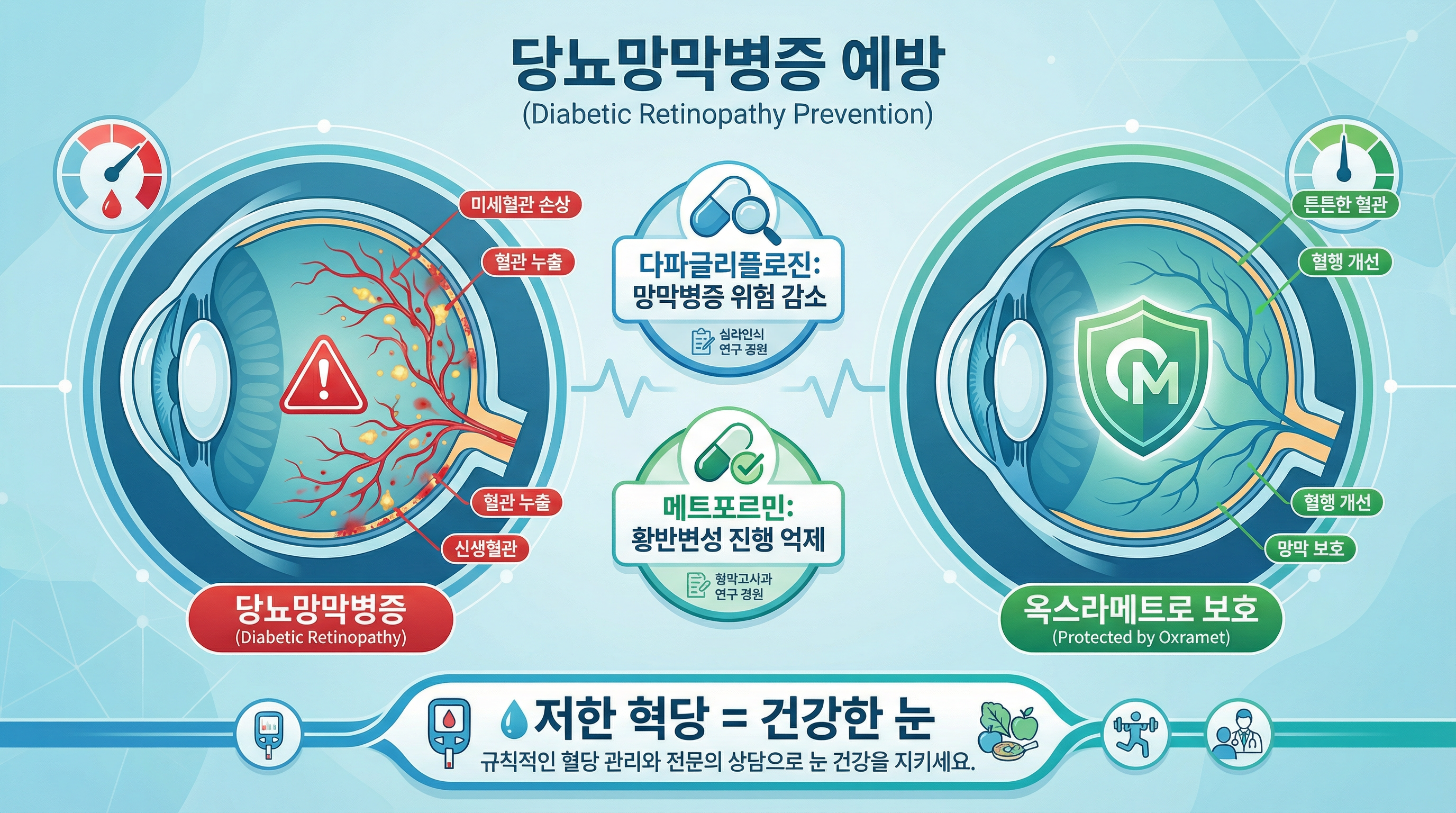 옥스라메트(oxramet) 당뇨부터 안과 합병증 예방까지! 16 당뇨망막병증 예방 및 눈 건강 보호 효과를 설명하는 인포그래픽