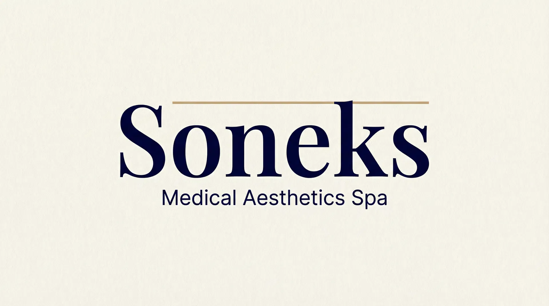 Soneks Logo Concept