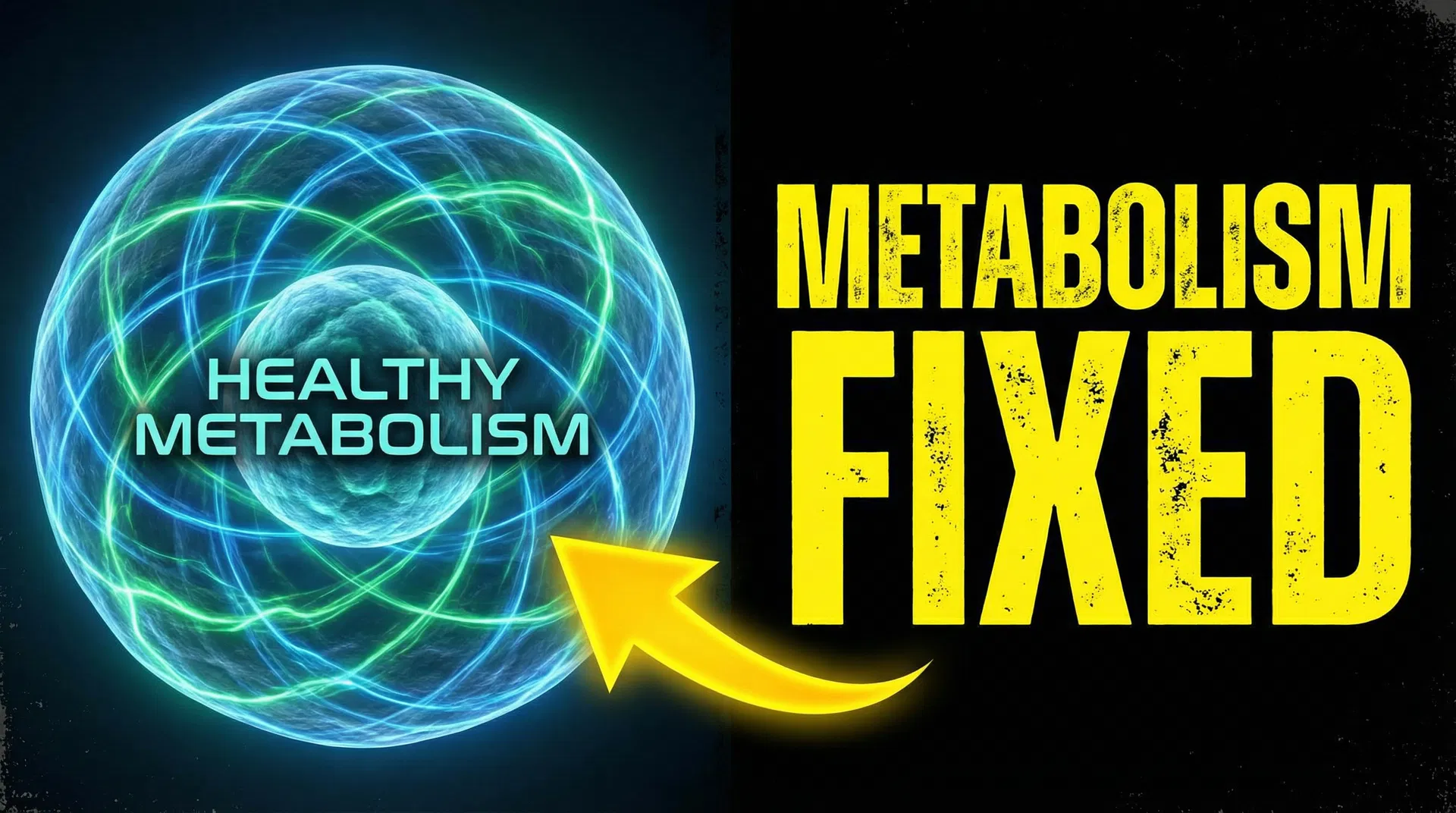 Metabolism Fixed Deep Dive