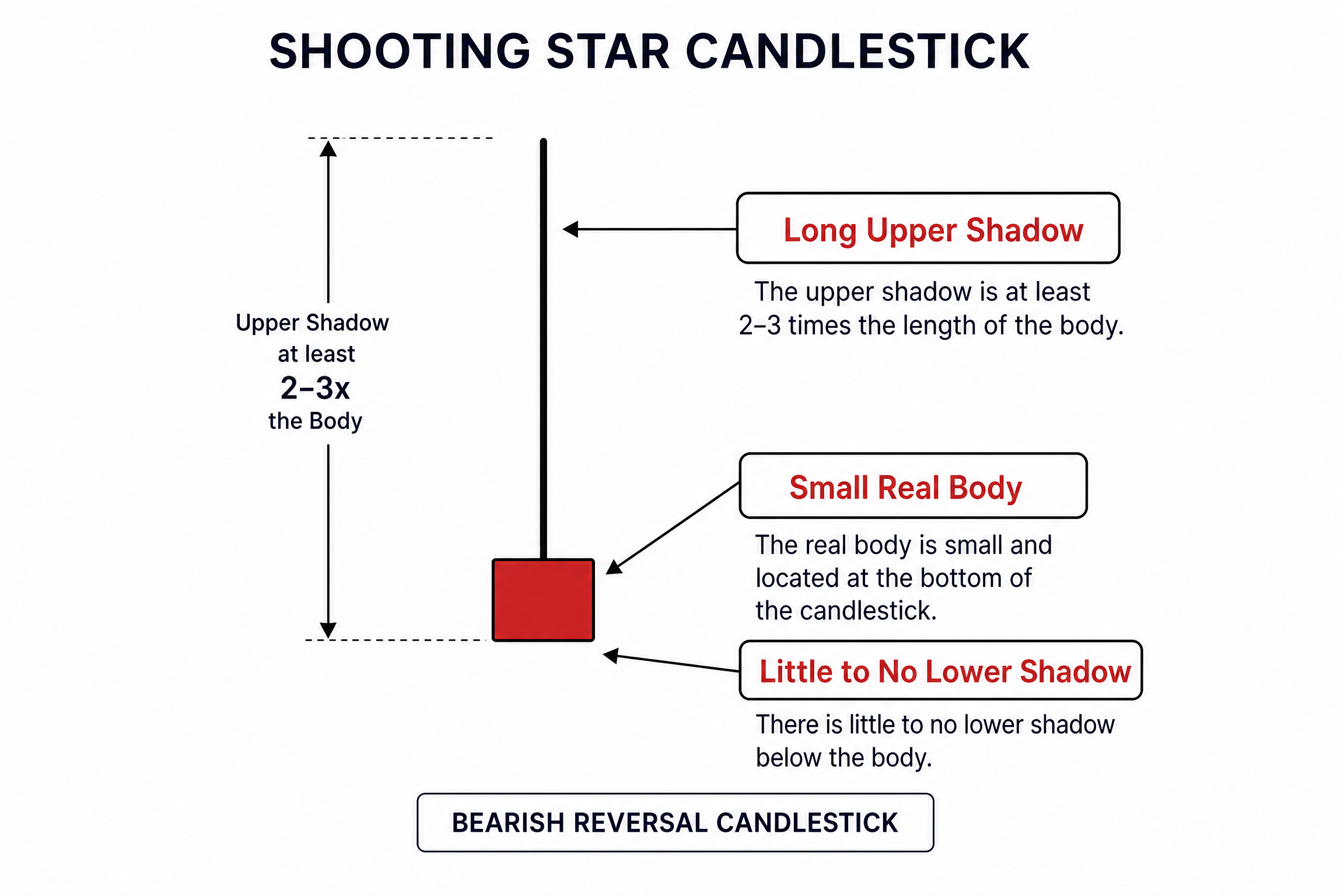 Shooting Star Anatomy