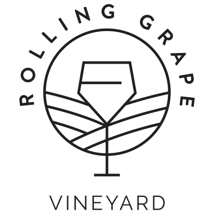 Rolling Grape Vineyard