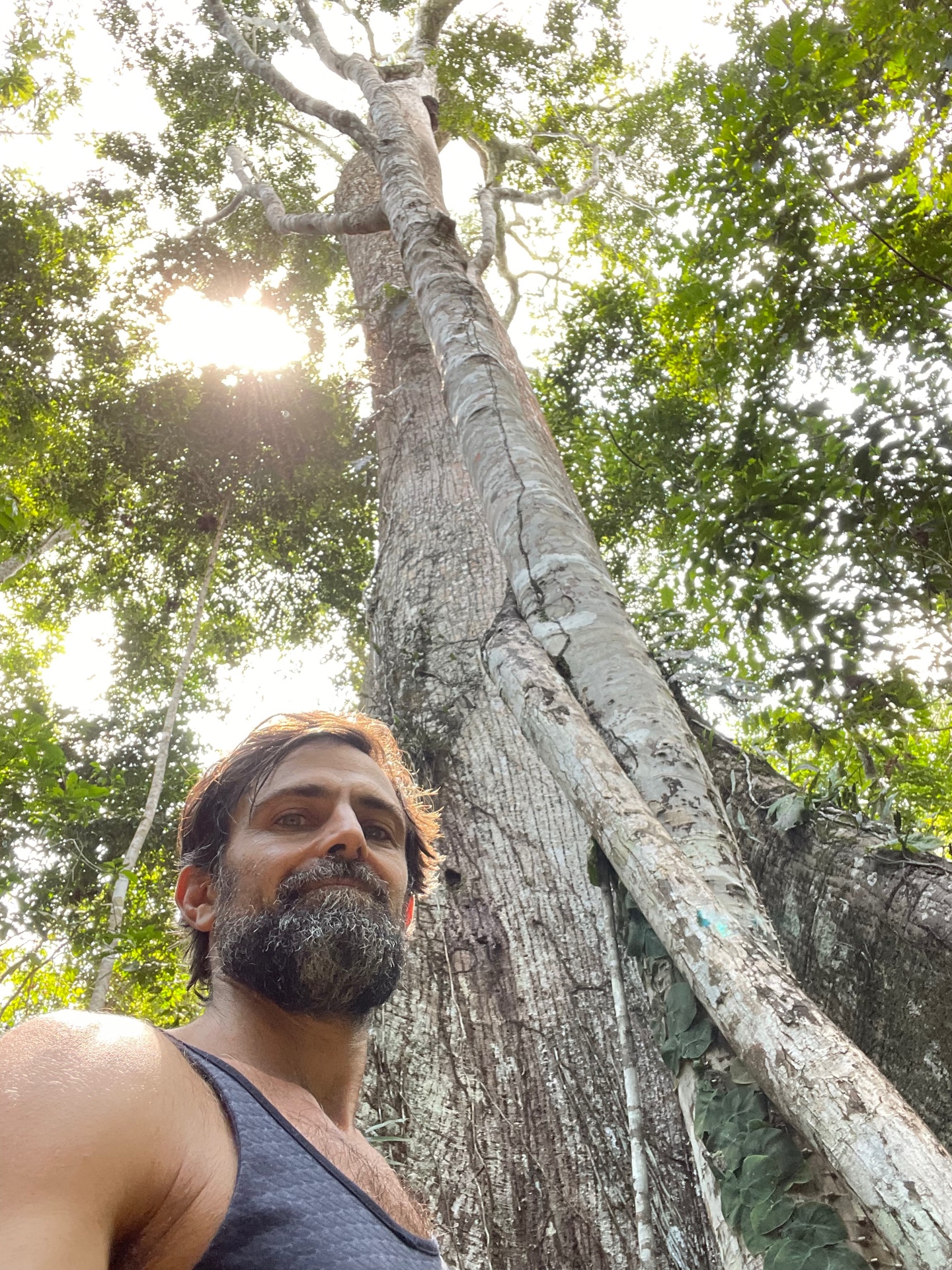 Plant medicine traditions at Ayaruna