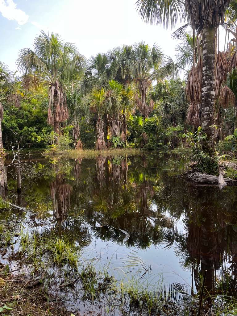 Traditional thatched-roof ceremony building at Ayaruna Gardens