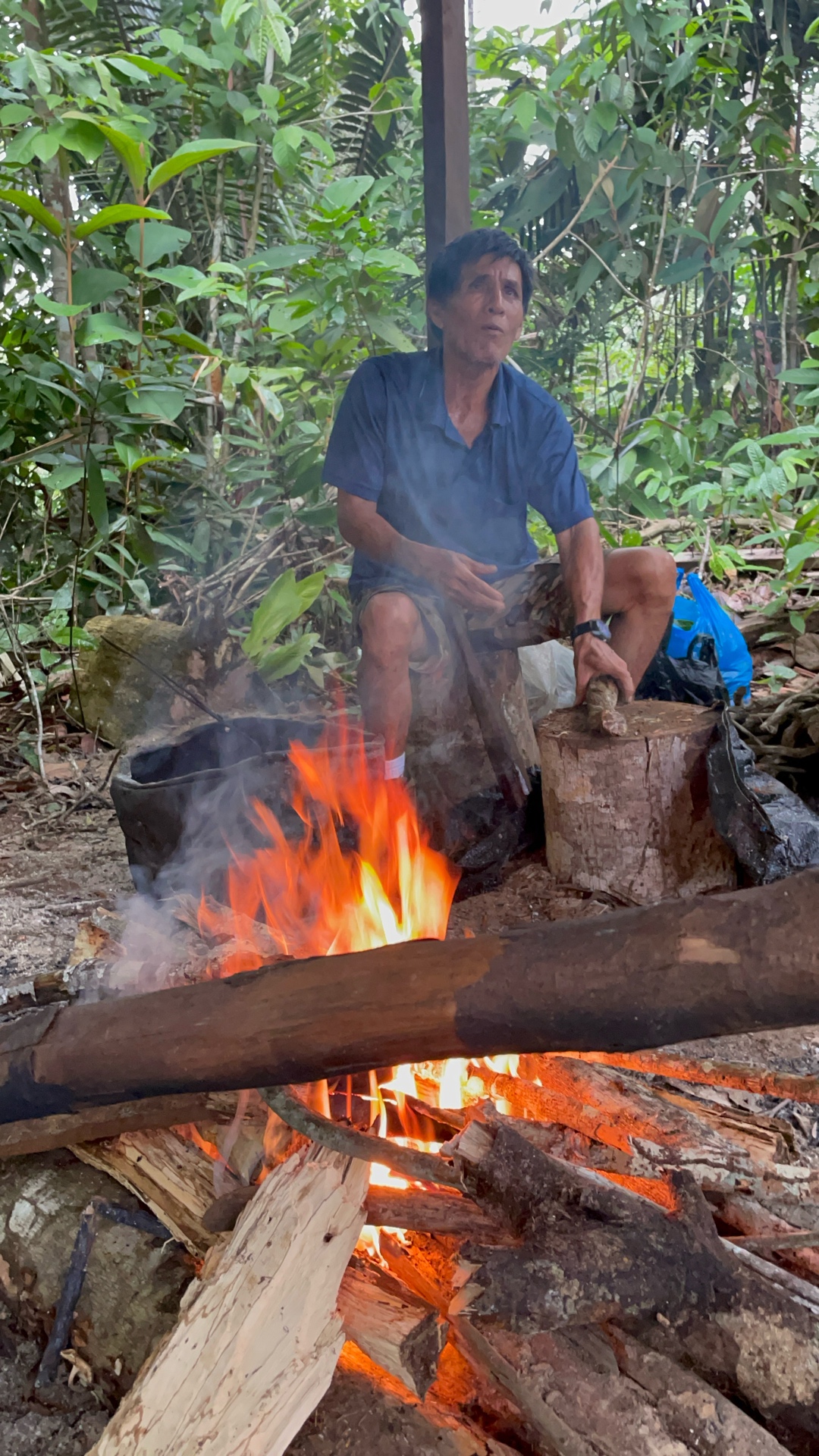 Tropical plants at Ayaruna Gardens