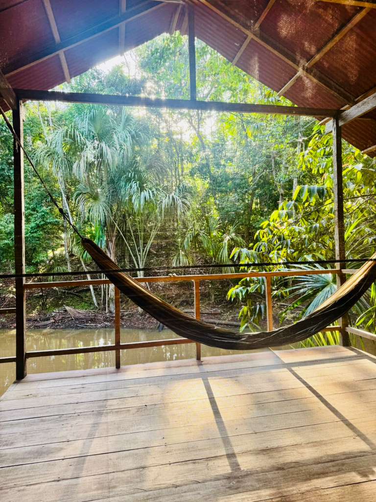 Peruvian Amazon wildlife at Ayaruna