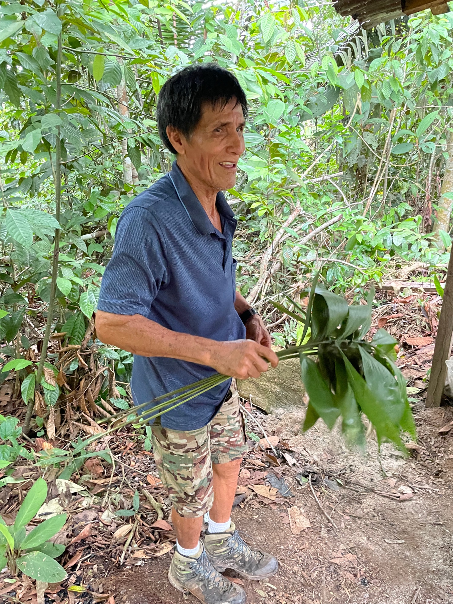 Sacred plant species at Ayaruna Gardens