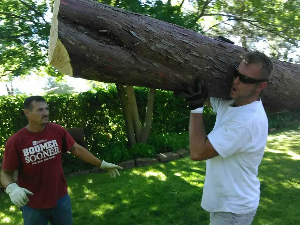 Todd Bock carrying a large tree trunk — hands-on owner of Precision Tree and Landscape