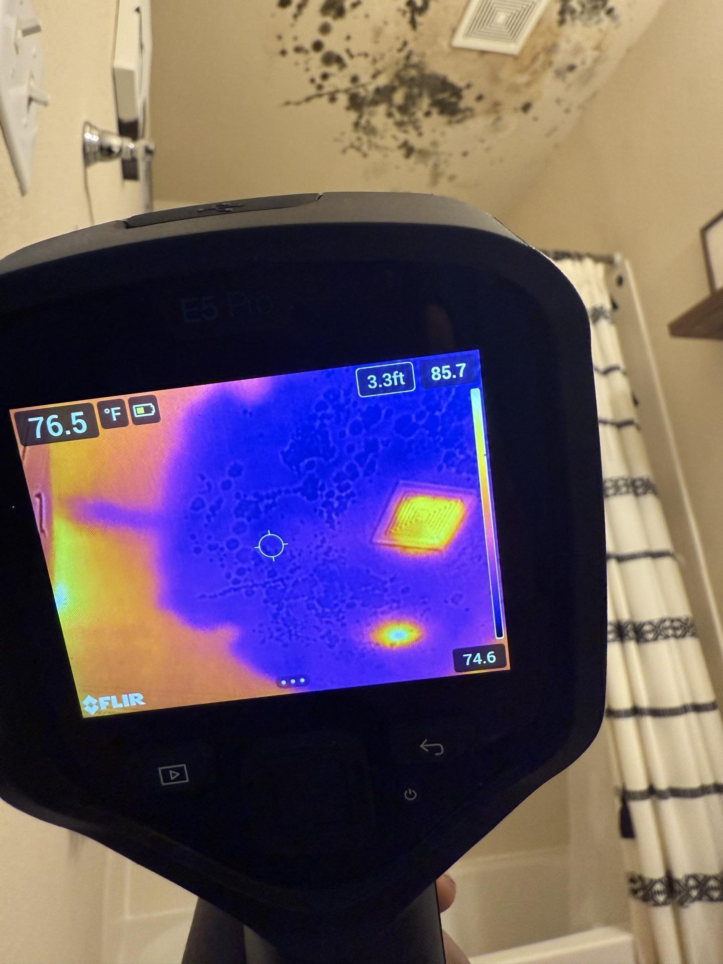 Mold Remediation & Removal