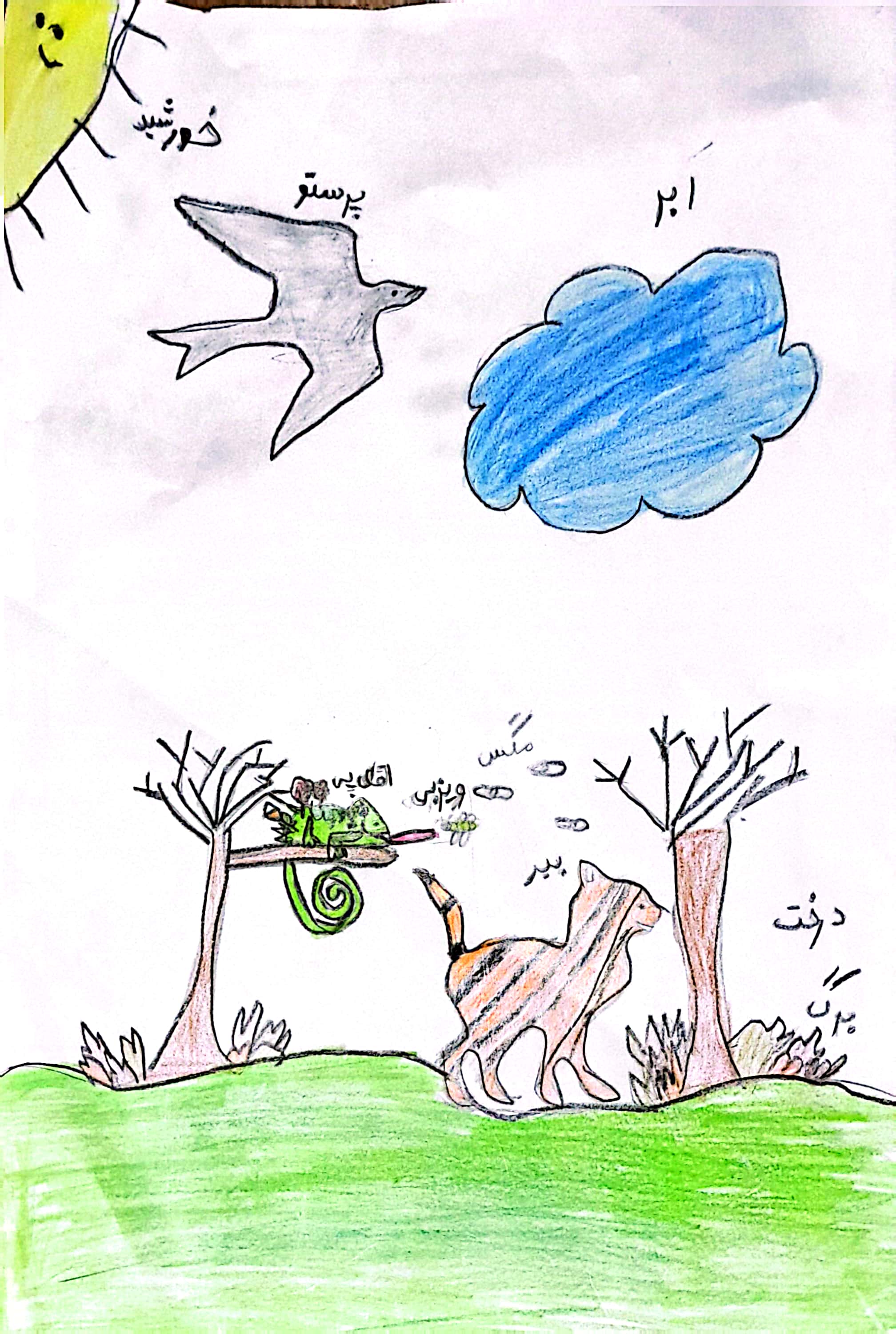 نقاشی پانتهآ جناب ۸ ساله از تهران