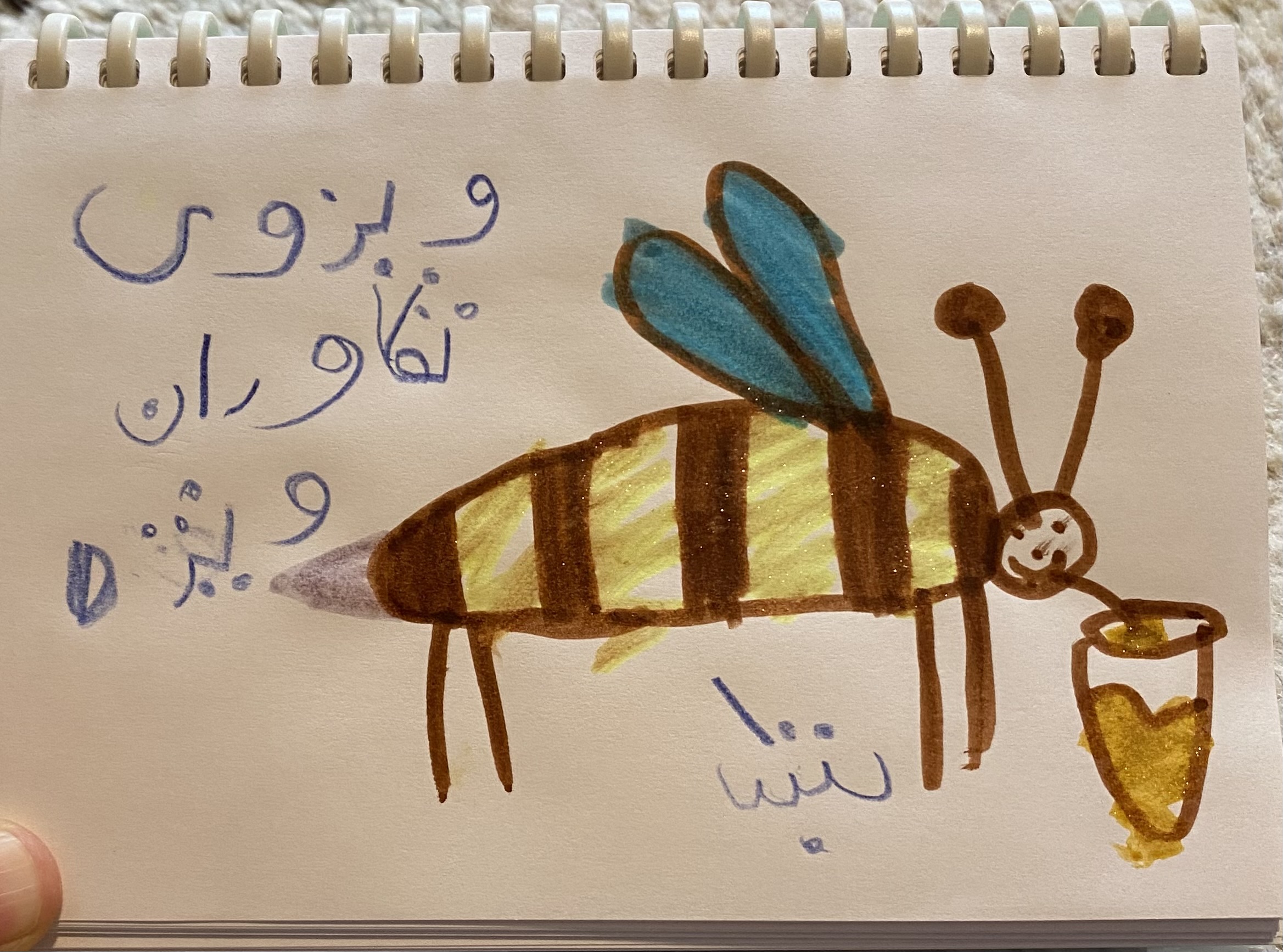 نقاشی سنیک از ونکوور copy