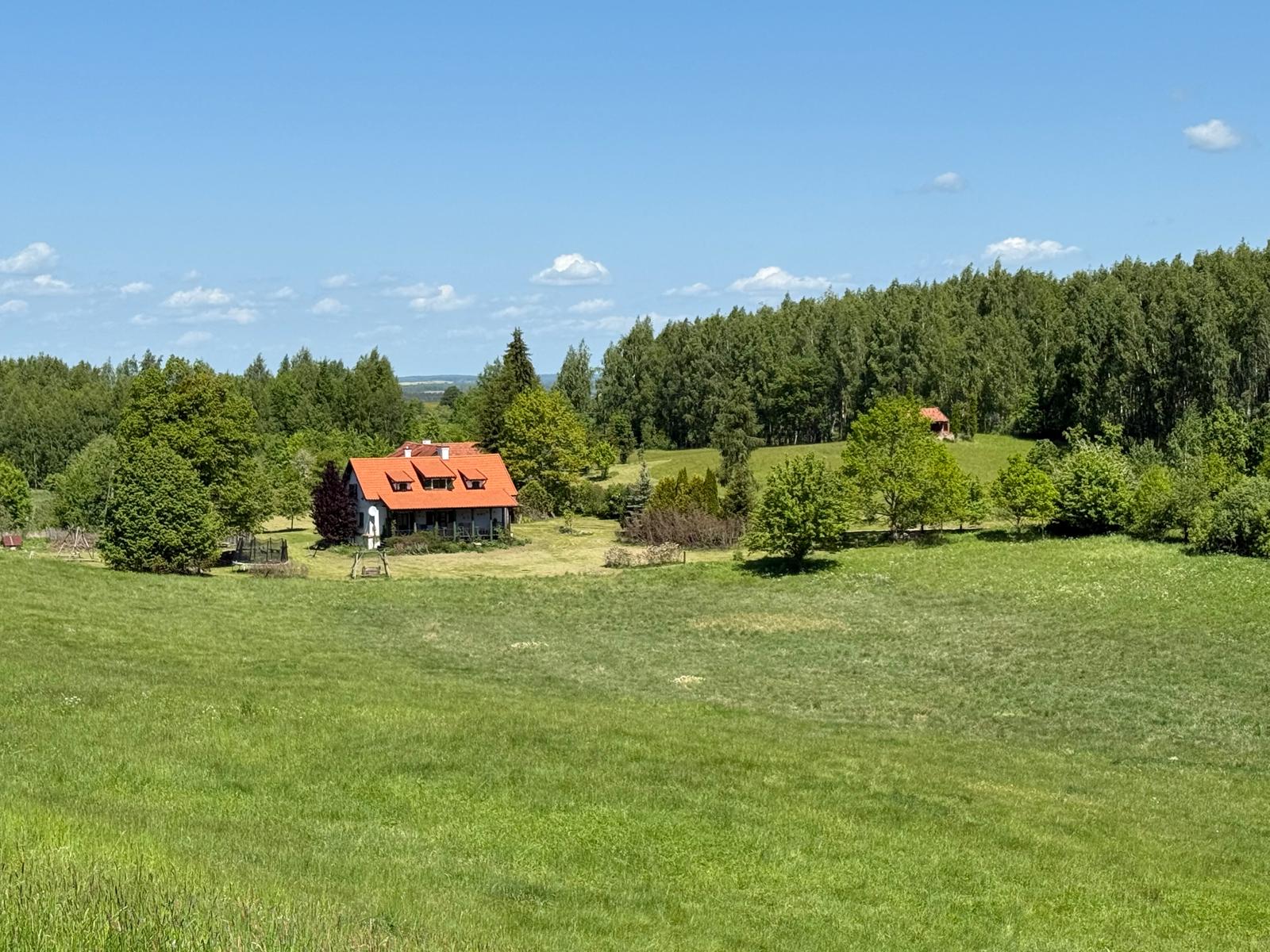 Ścieżka do domu wśród zieleni