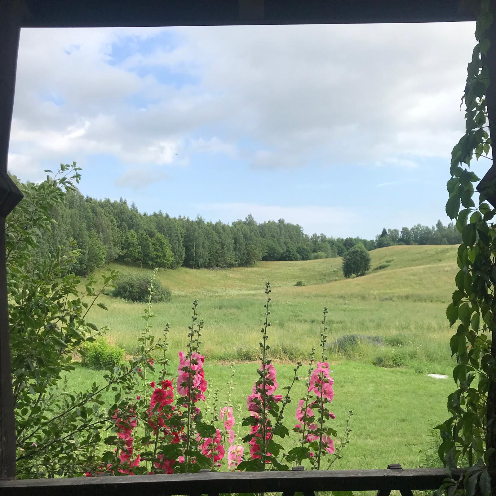 Dom latem wśród zieleni