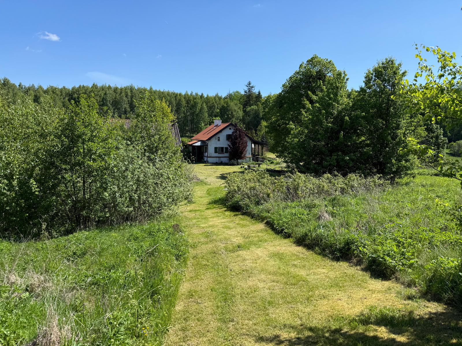 Widok z okna na mazurskie wzgórza