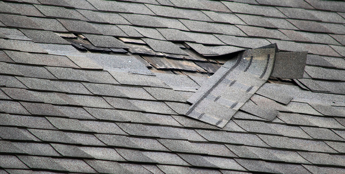 Hail-damaged roof shingles in Cedar Park TX before Pro Roofing Systems repair
