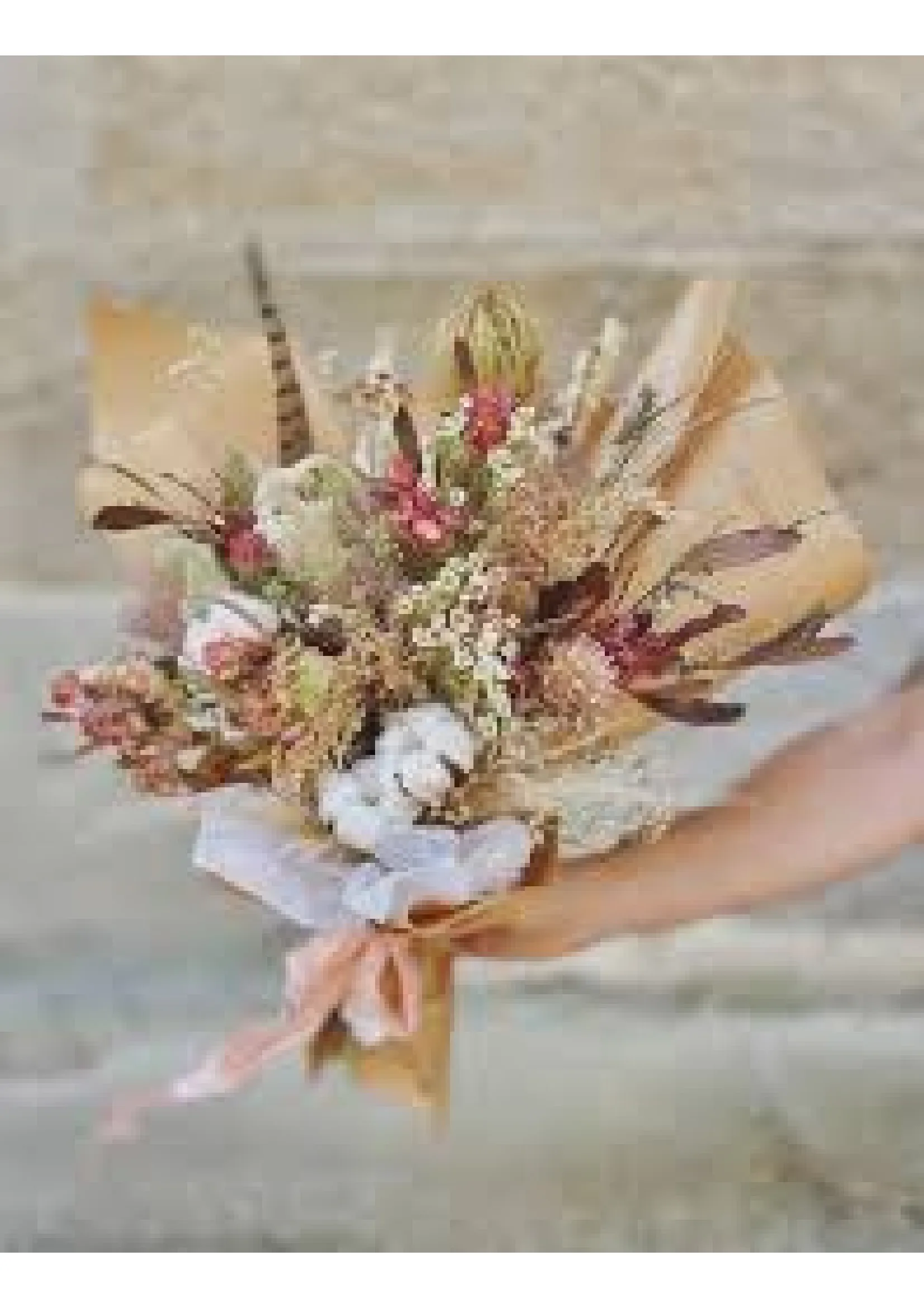 Ramo Botánico Silvestre