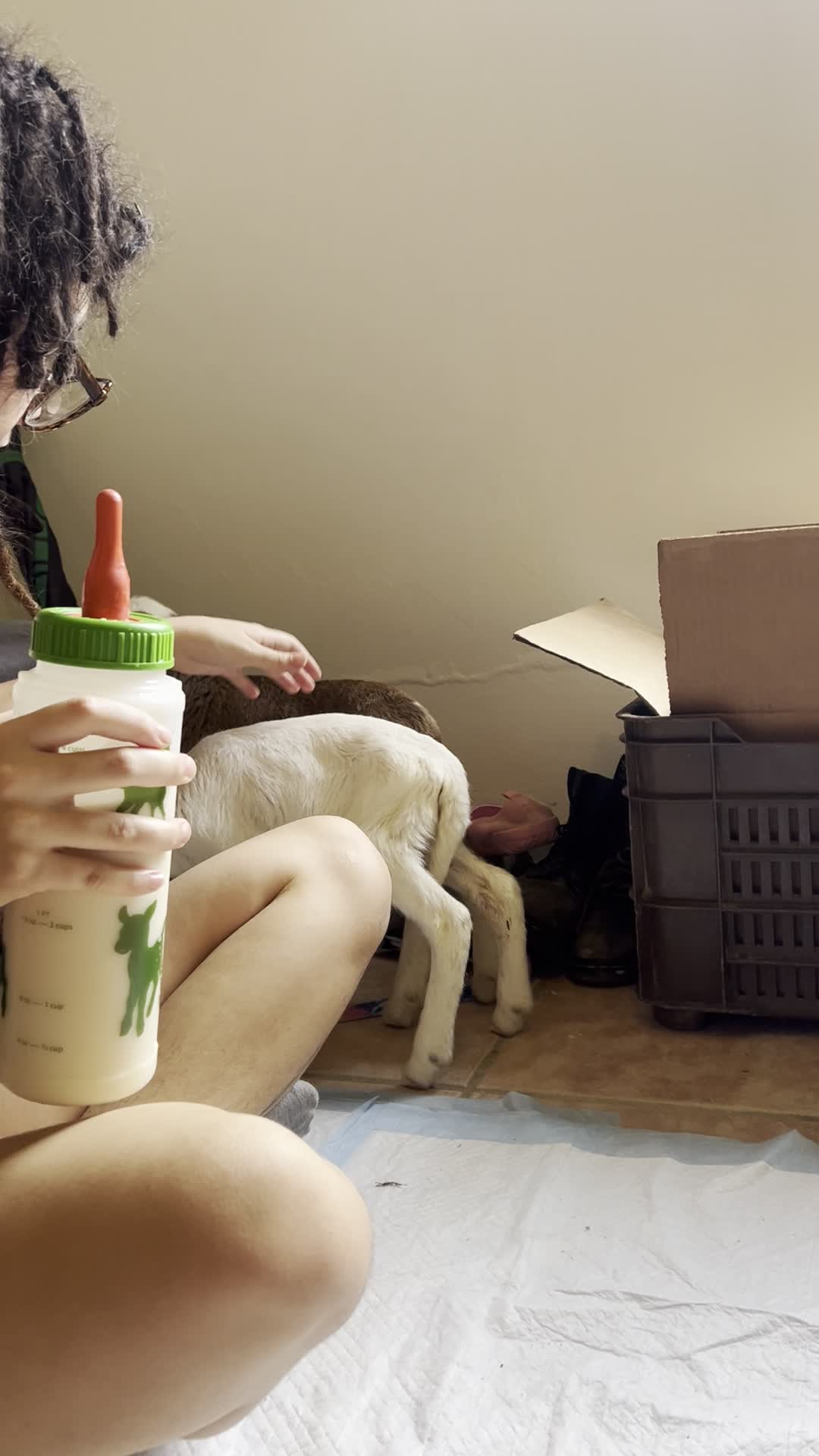 Gema with her chicken at night