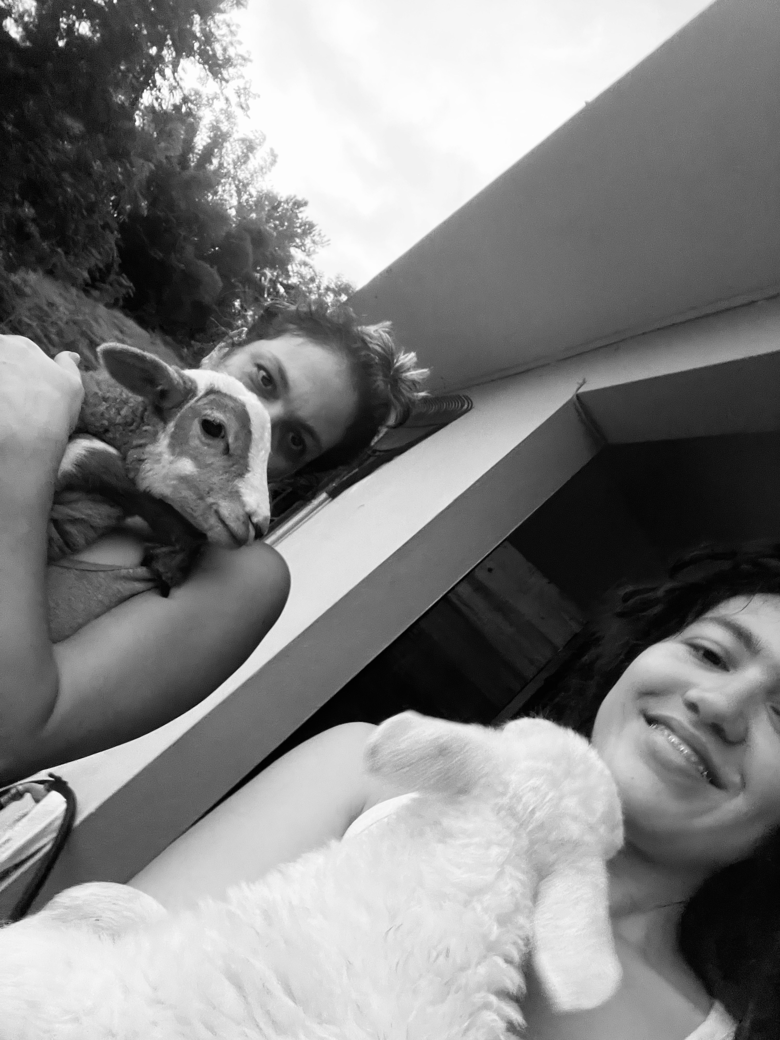 Gema and her mom with baby sheep