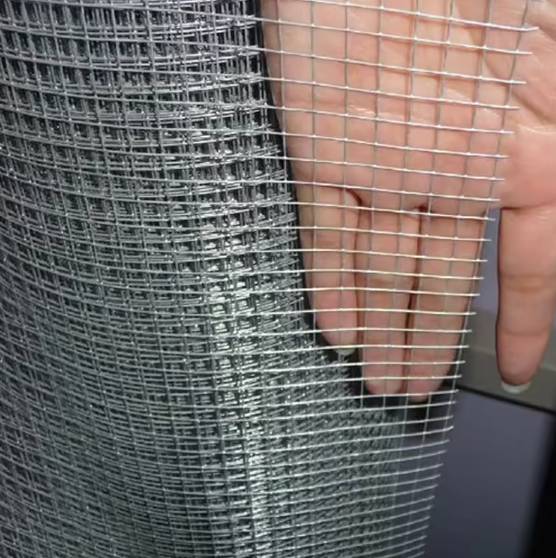 Wire Mesh