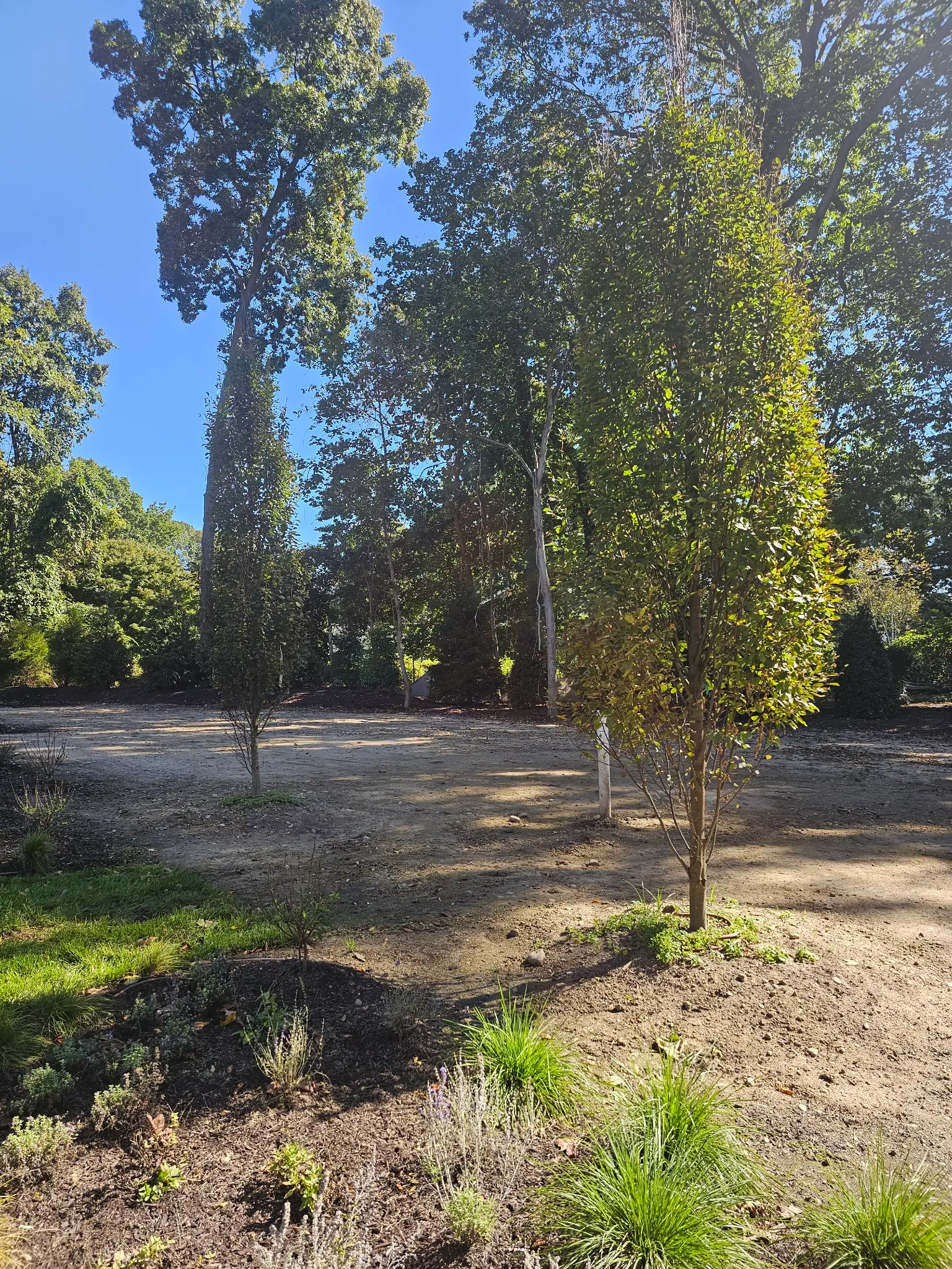 St. James — Full-Property Design, Planting & Sod Installation — photo 2