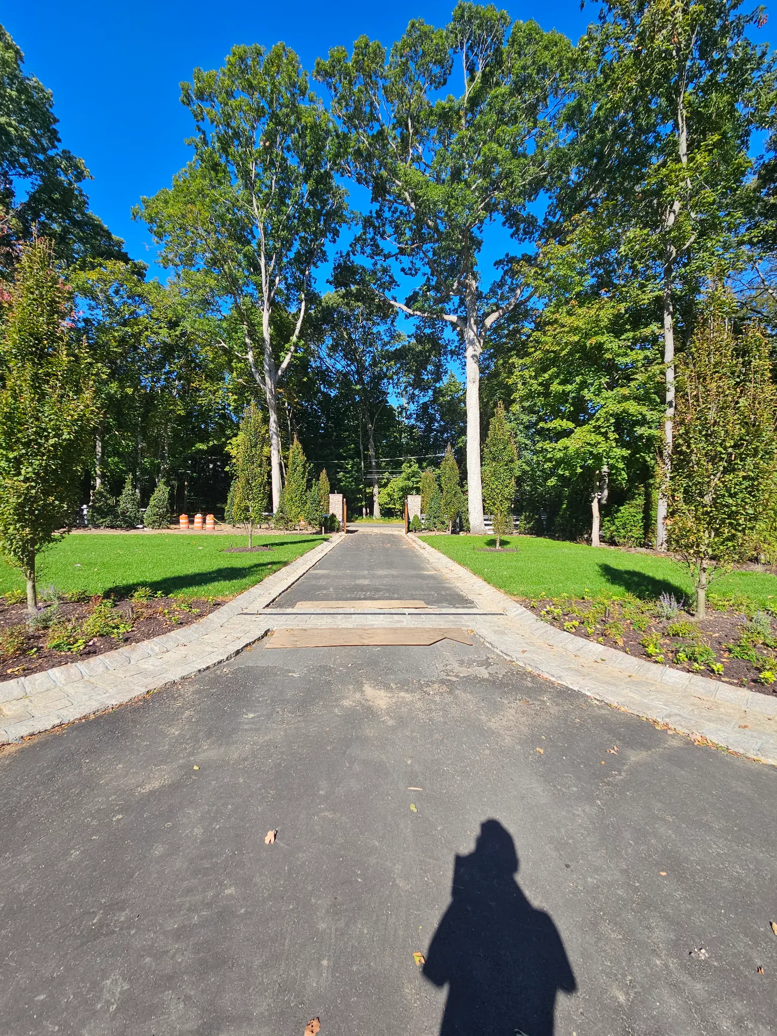 St. James — Full-Property Design, Planting & Sod Installation — photo 5