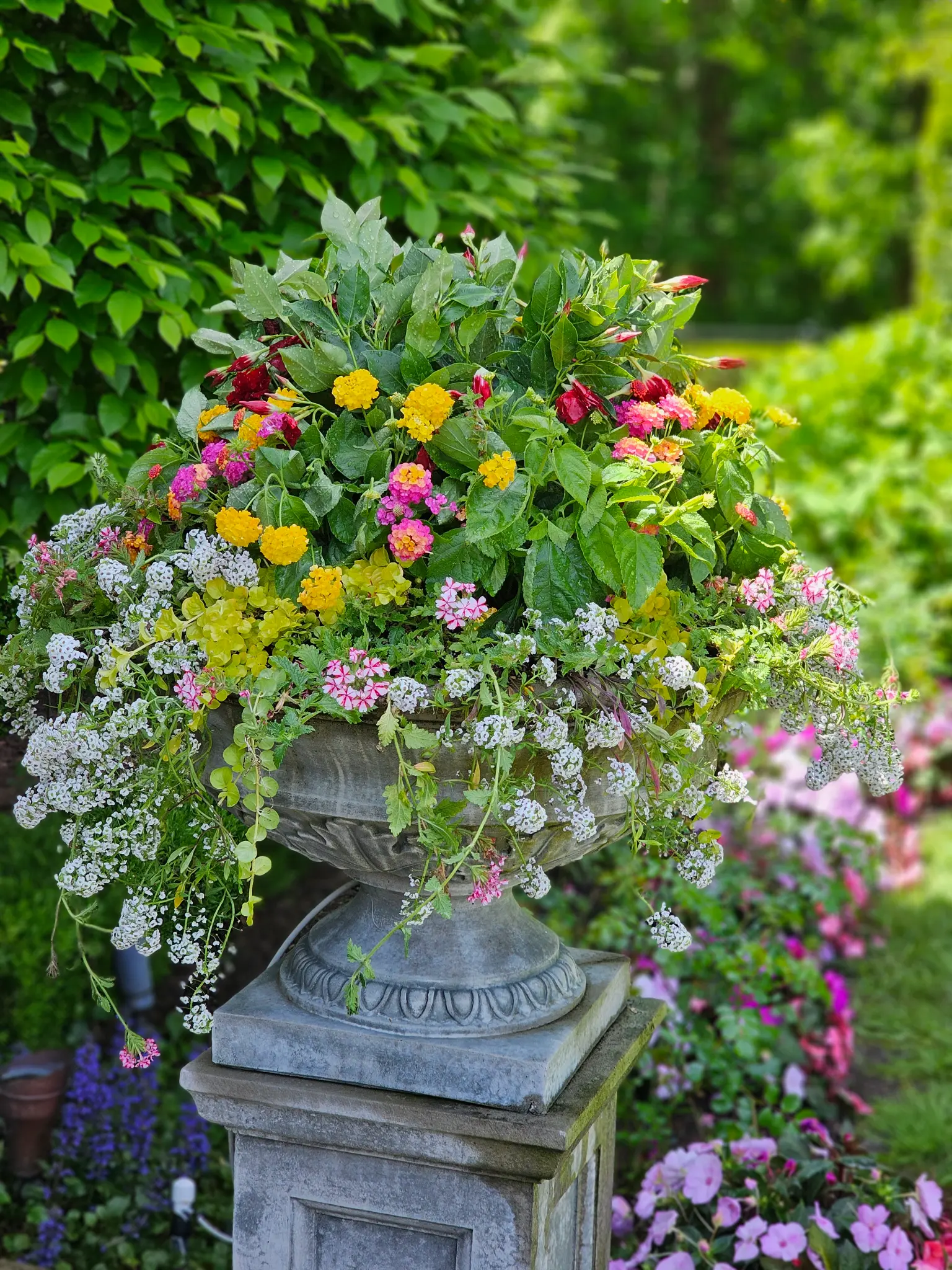 East Hampton — Summer Seasonal Container Display