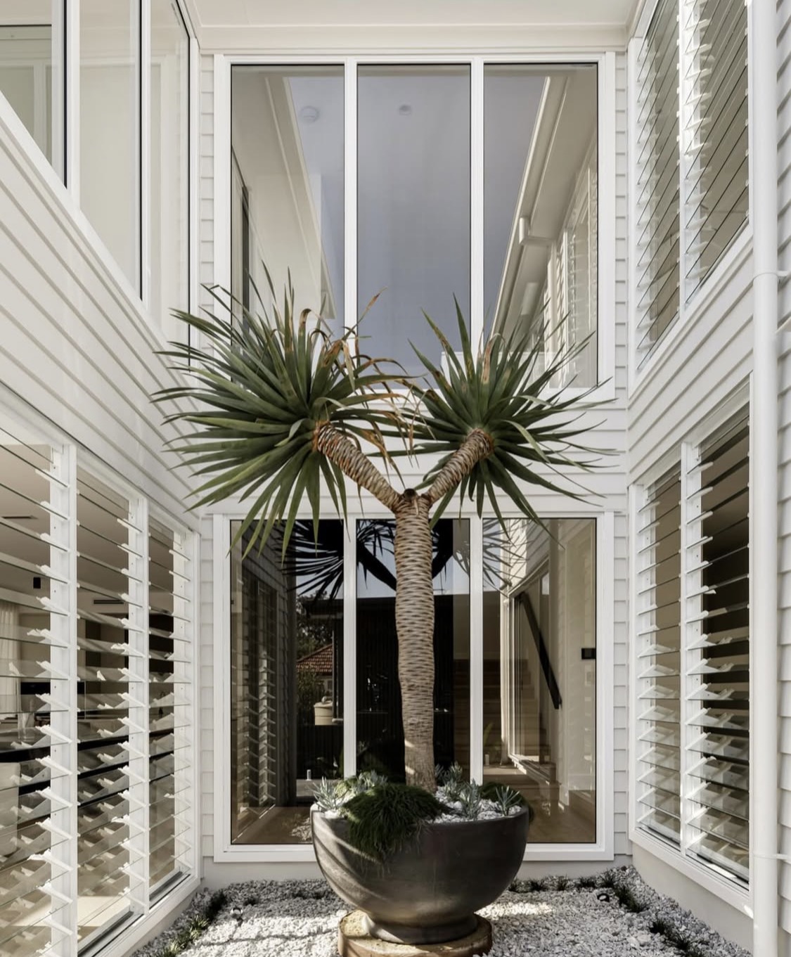 Courtyard Atrium — White Cladding