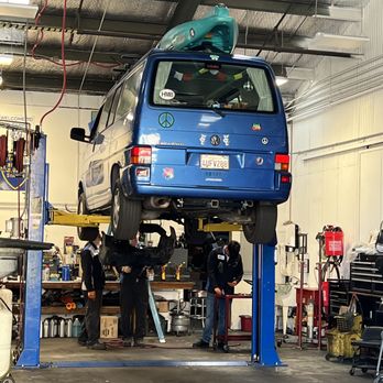 Removal & Preparation Services