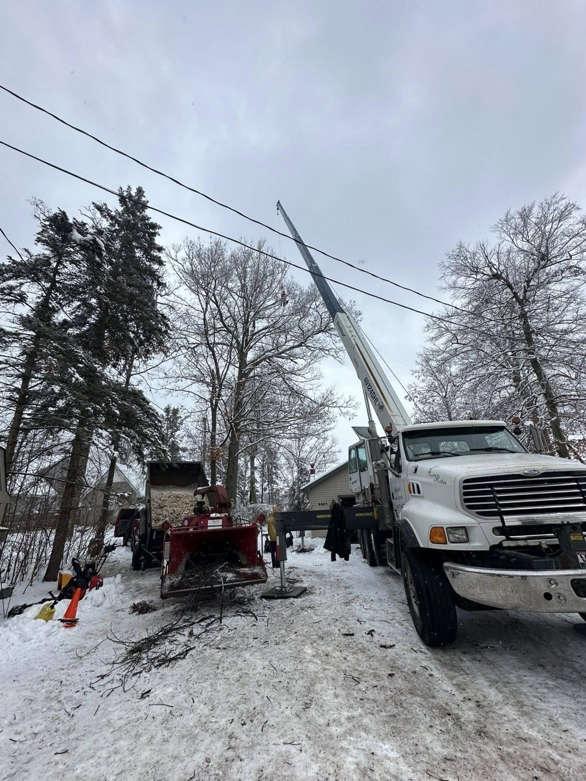 Tree service gallery Bay City MI