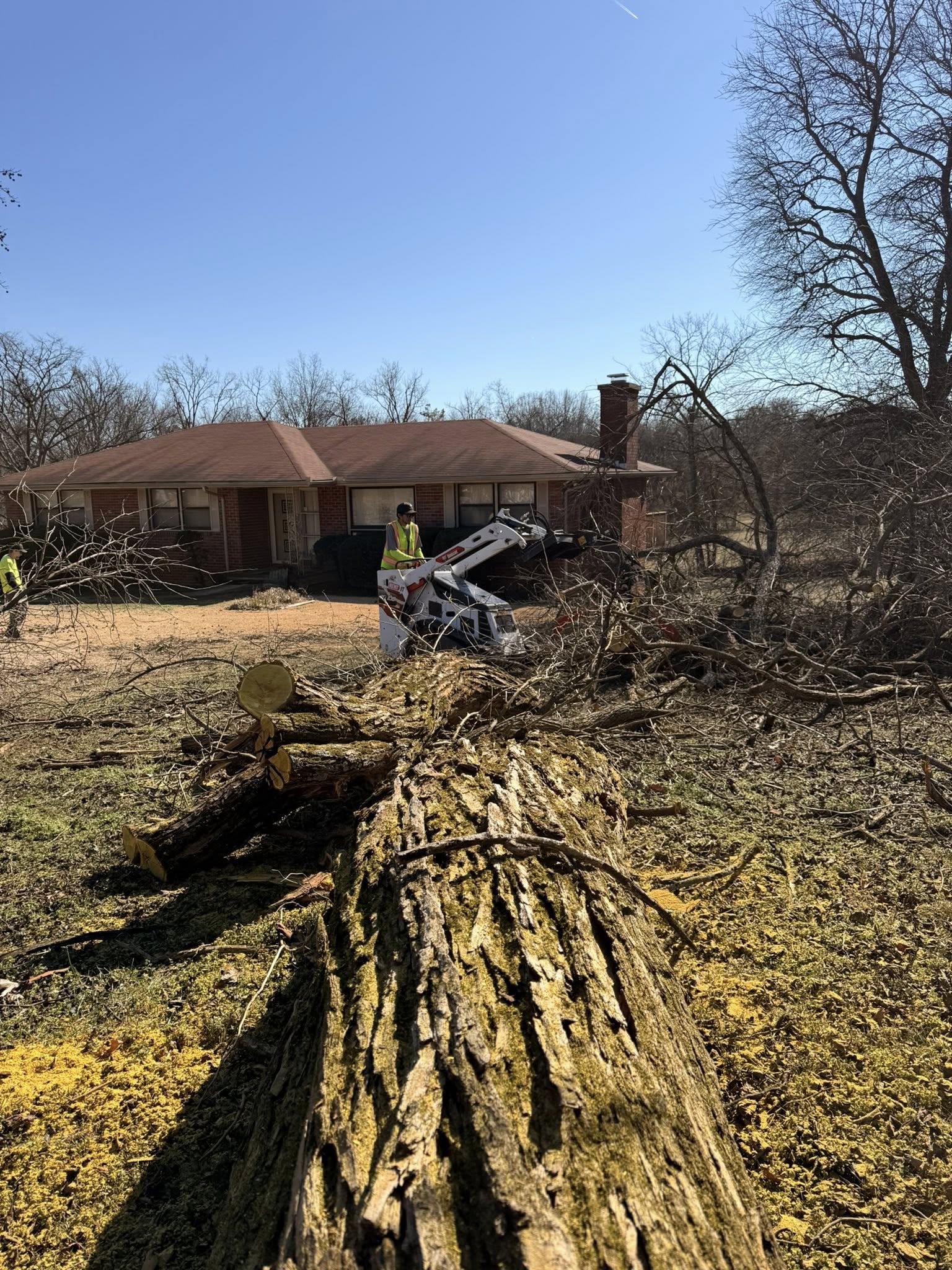 Wood chipper and dump trailer — debris cleanup after removal
