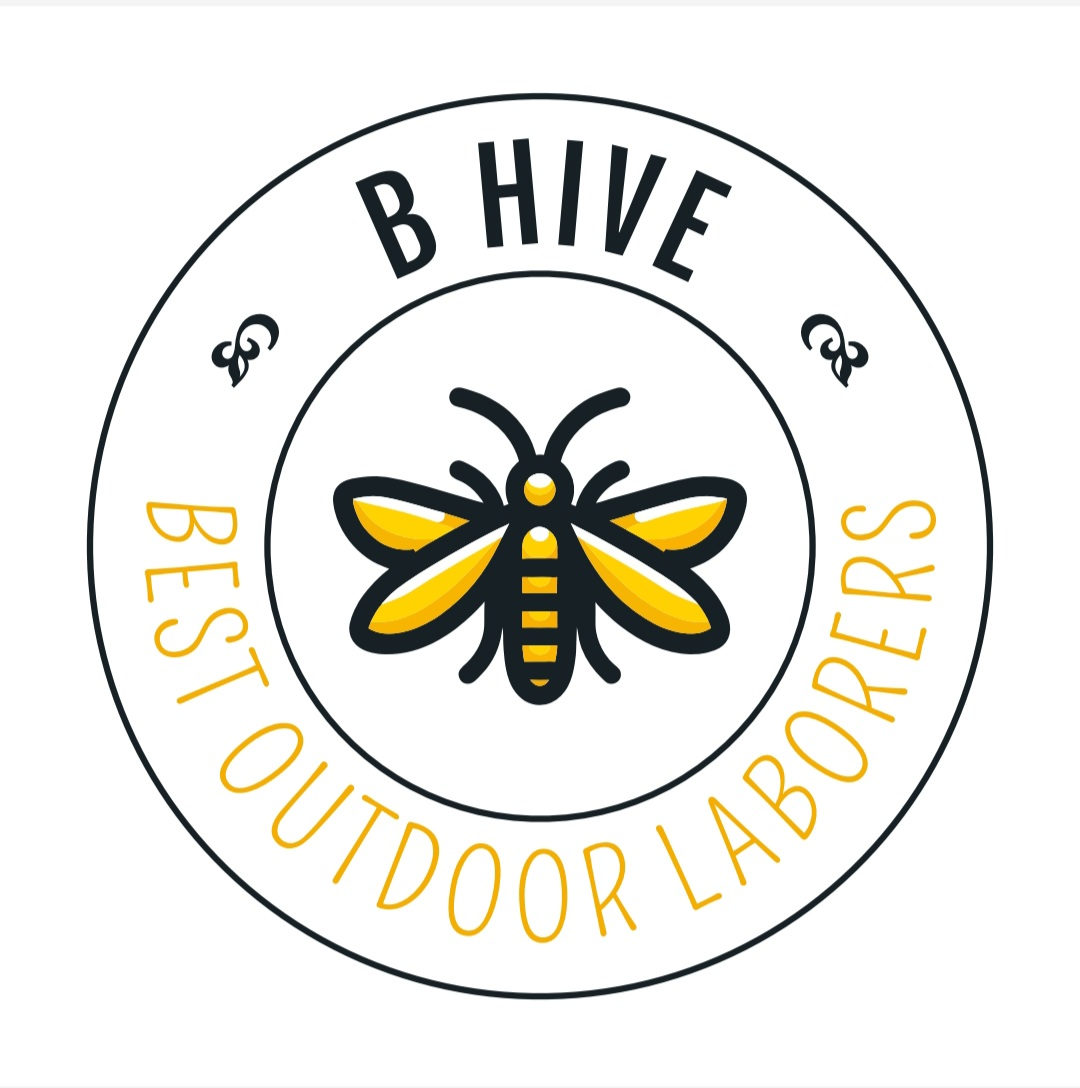 B Hive LLC